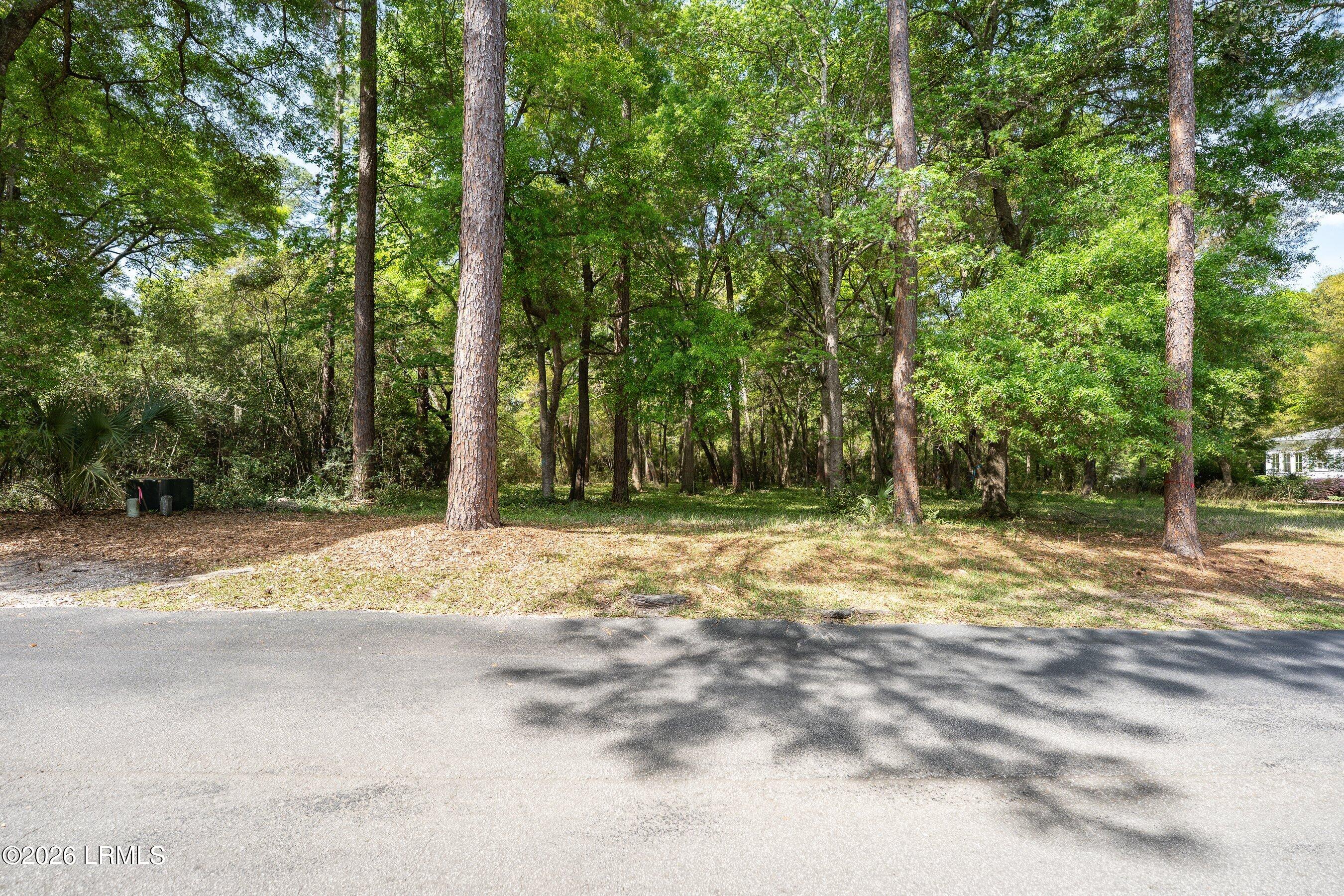 245 Distant Island Drive