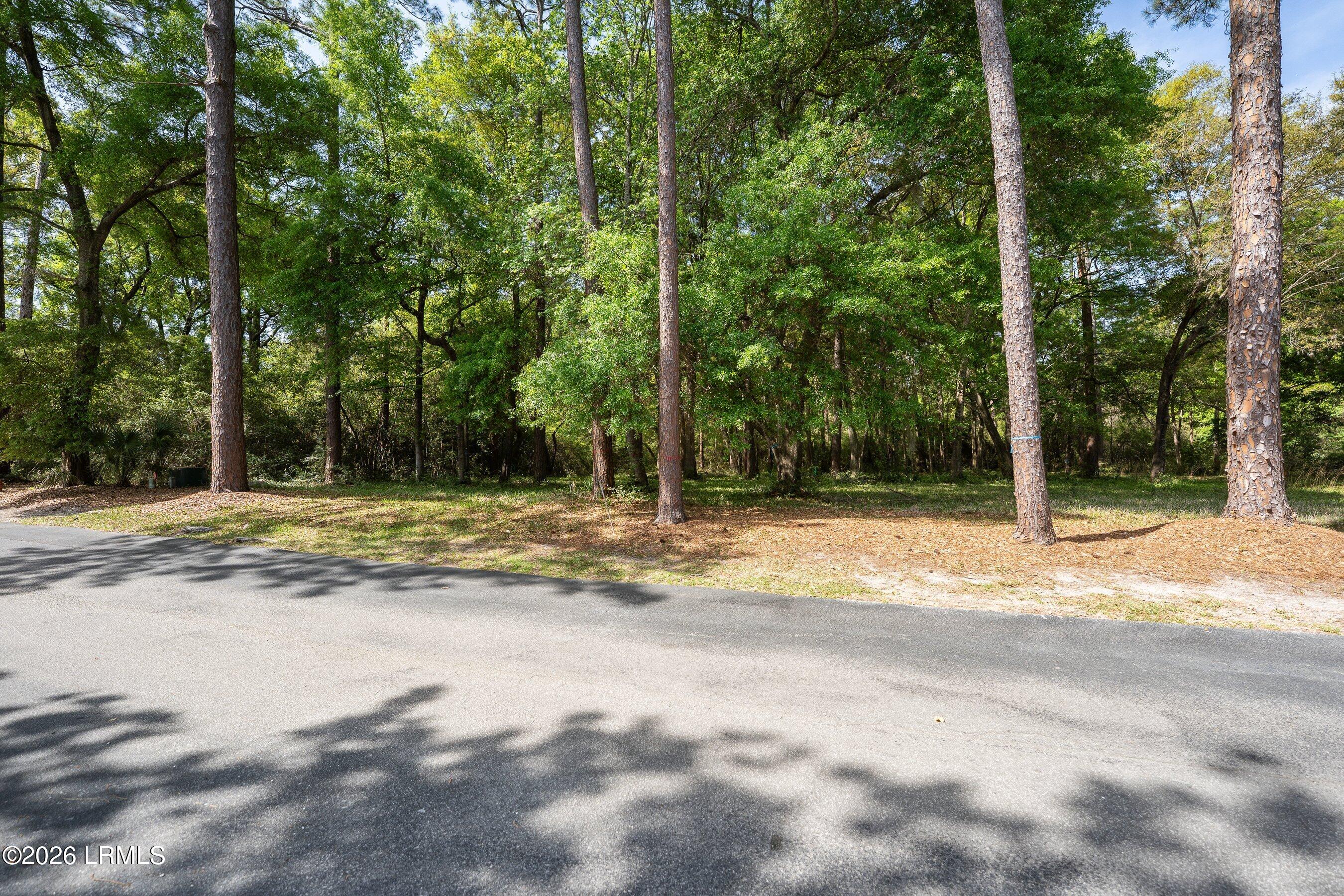 245 Distant Island Drive