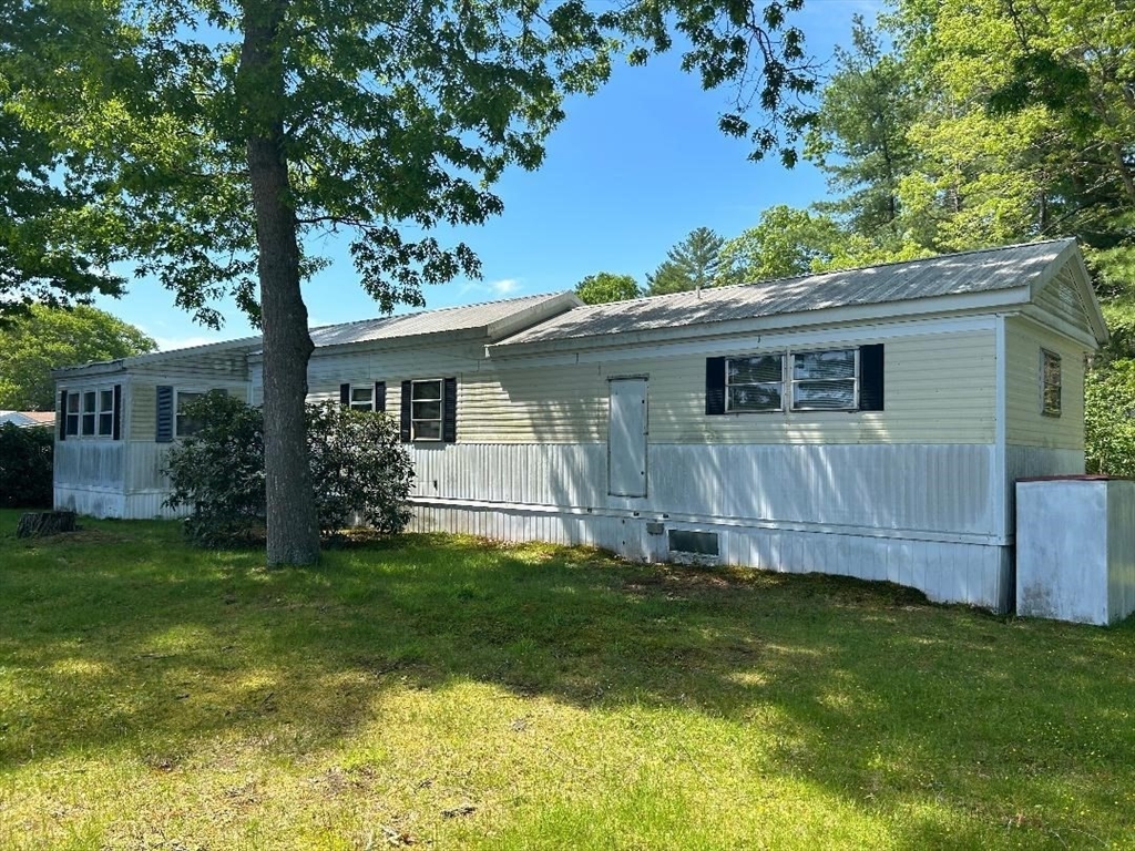 36 Sycamore