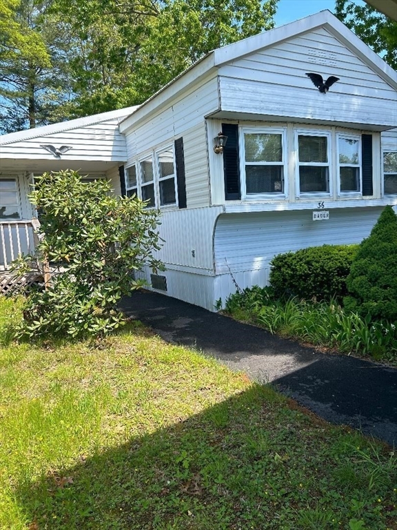36 Sycamore