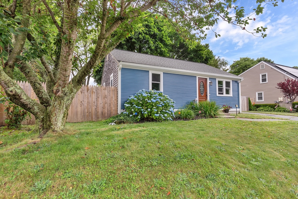 41 Canterberry St