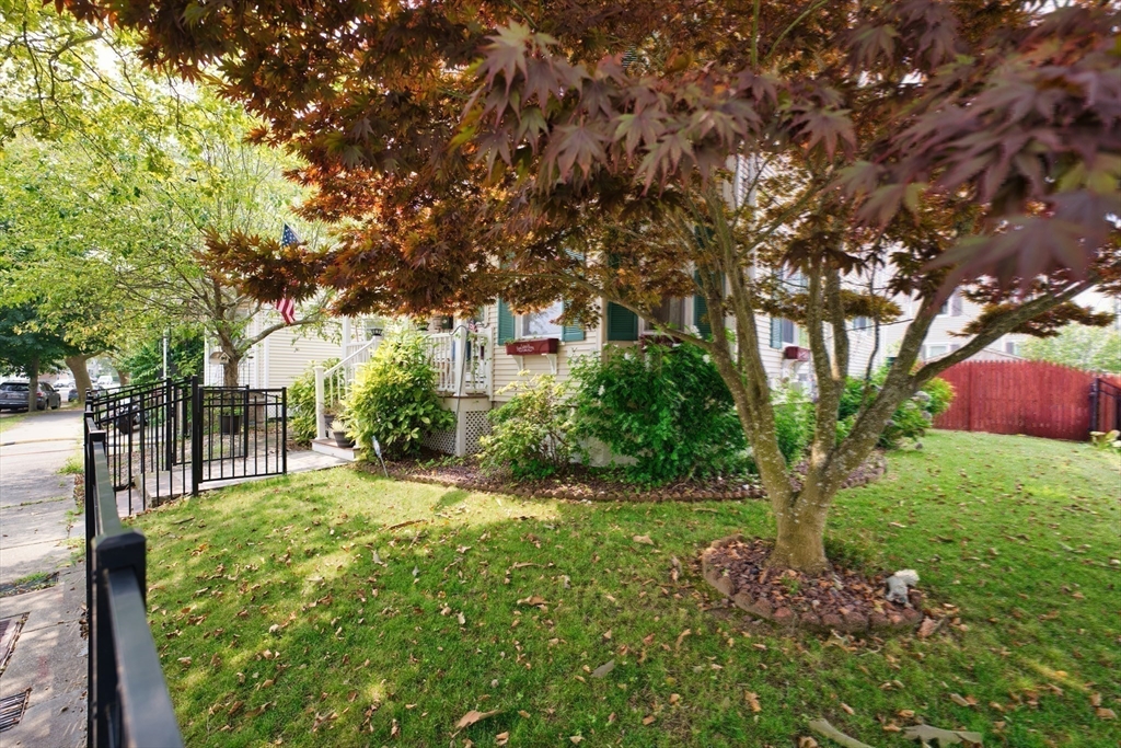 467 Brock Ave