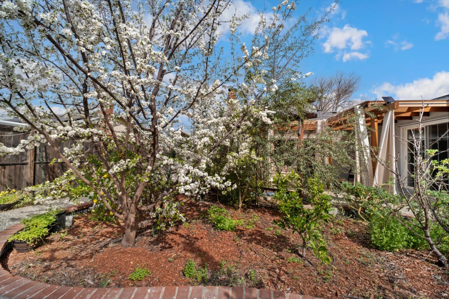 1666 Blossom Hill Road