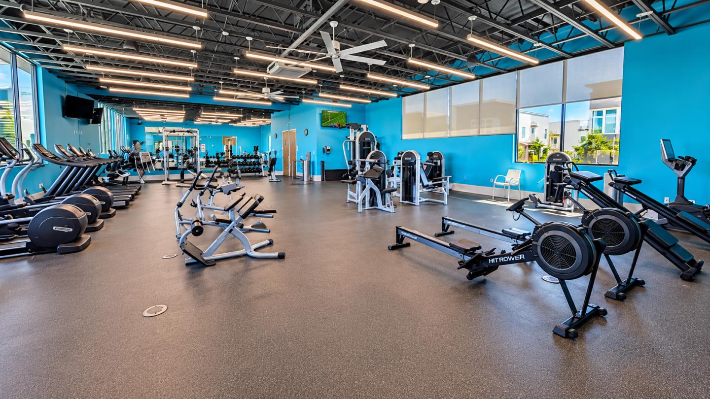 Fitness center with blue walls, rows of treadmills, and rowing and strength-training equipment.