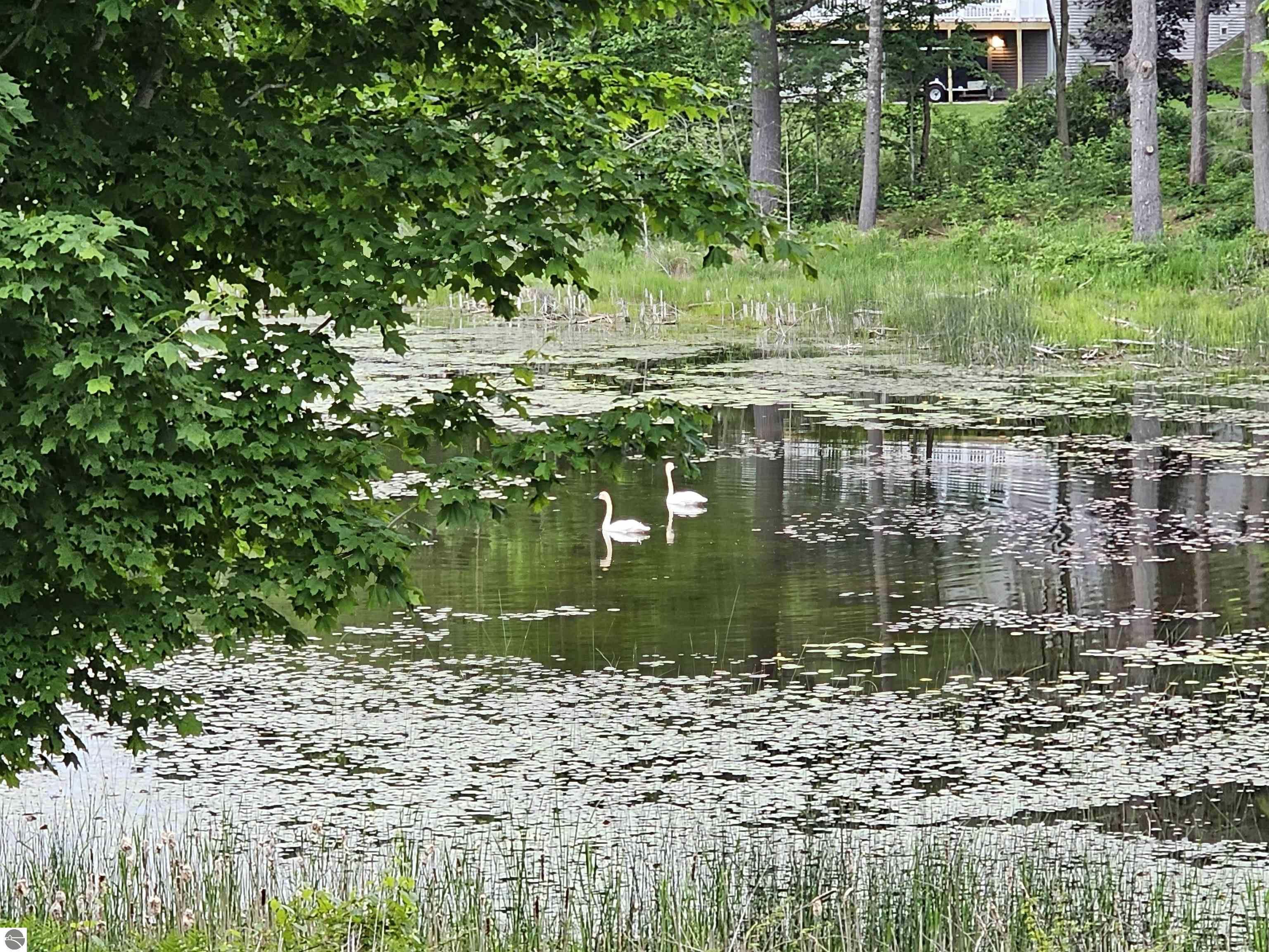 1568 Nightingale Lane