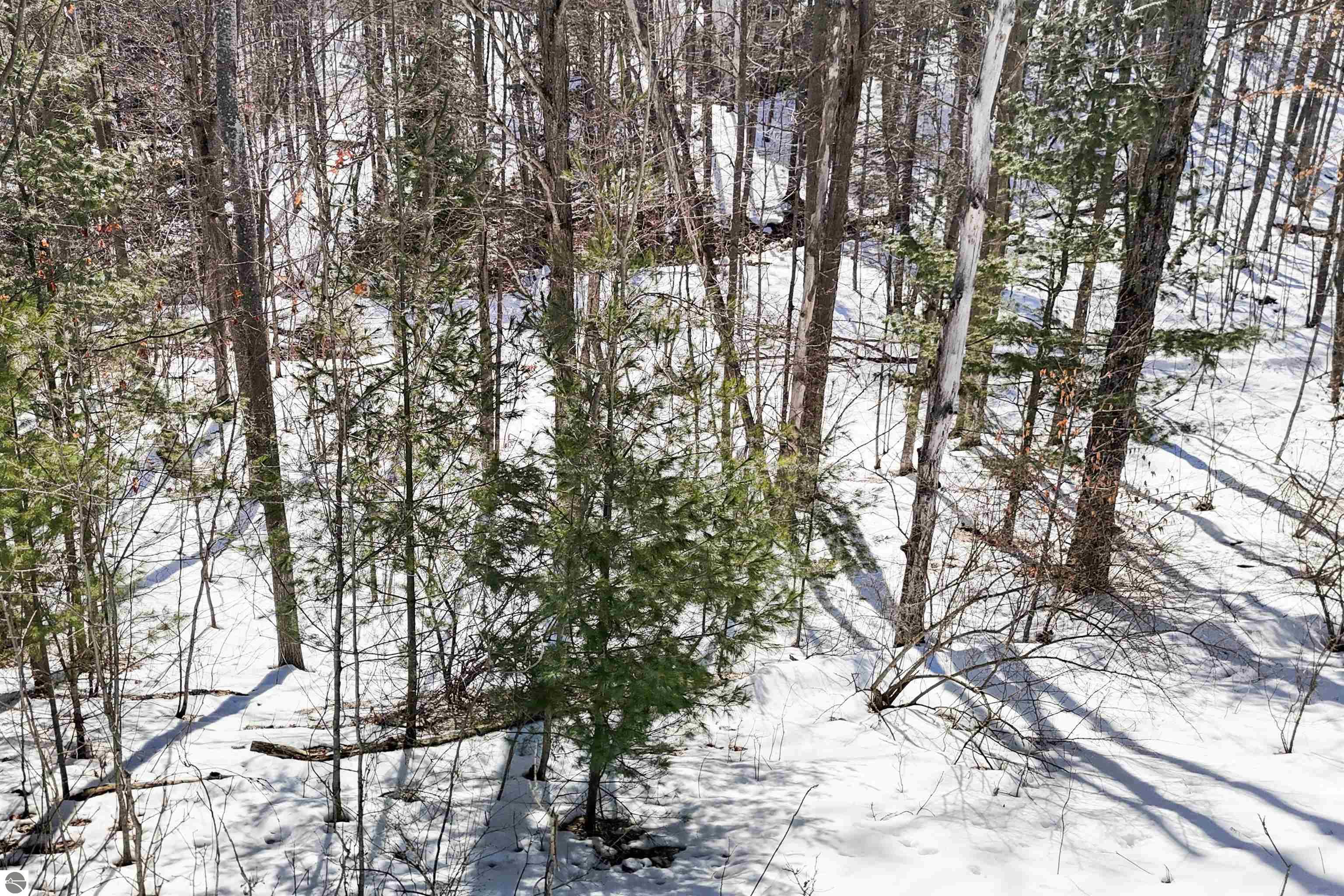 9481 E Walkabout Lane