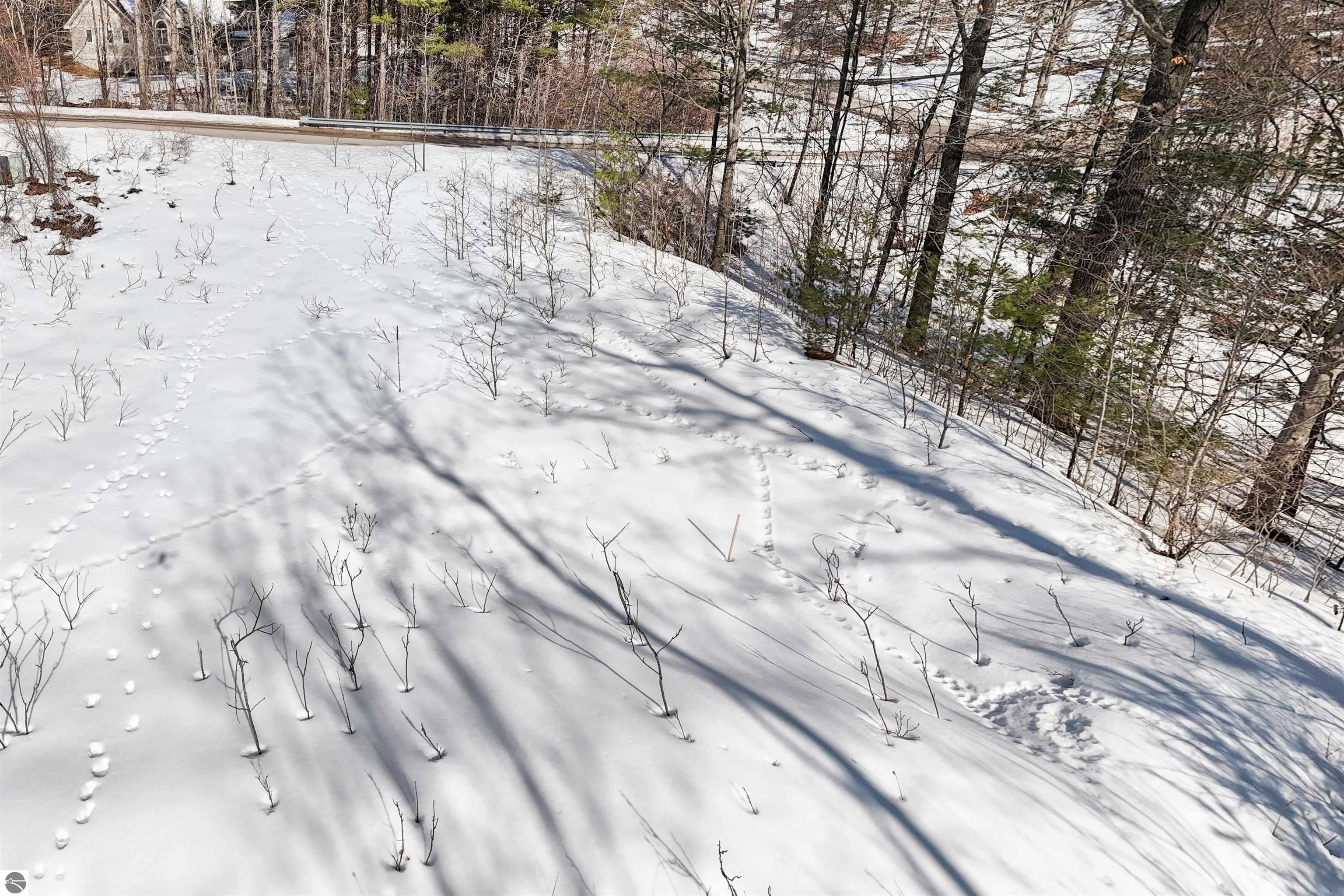 9481 E Walkabout Lane