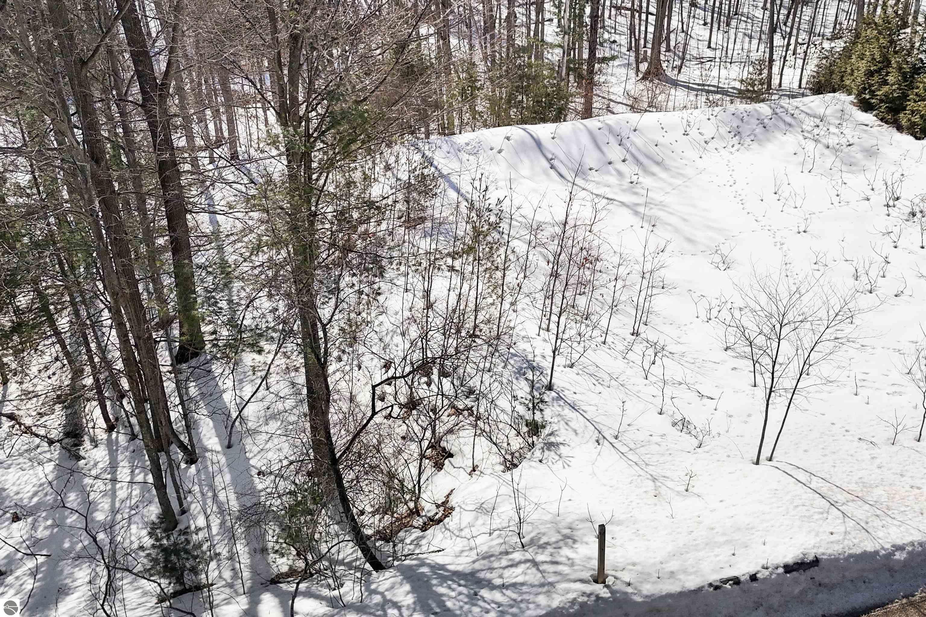 9481 E Walkabout Lane