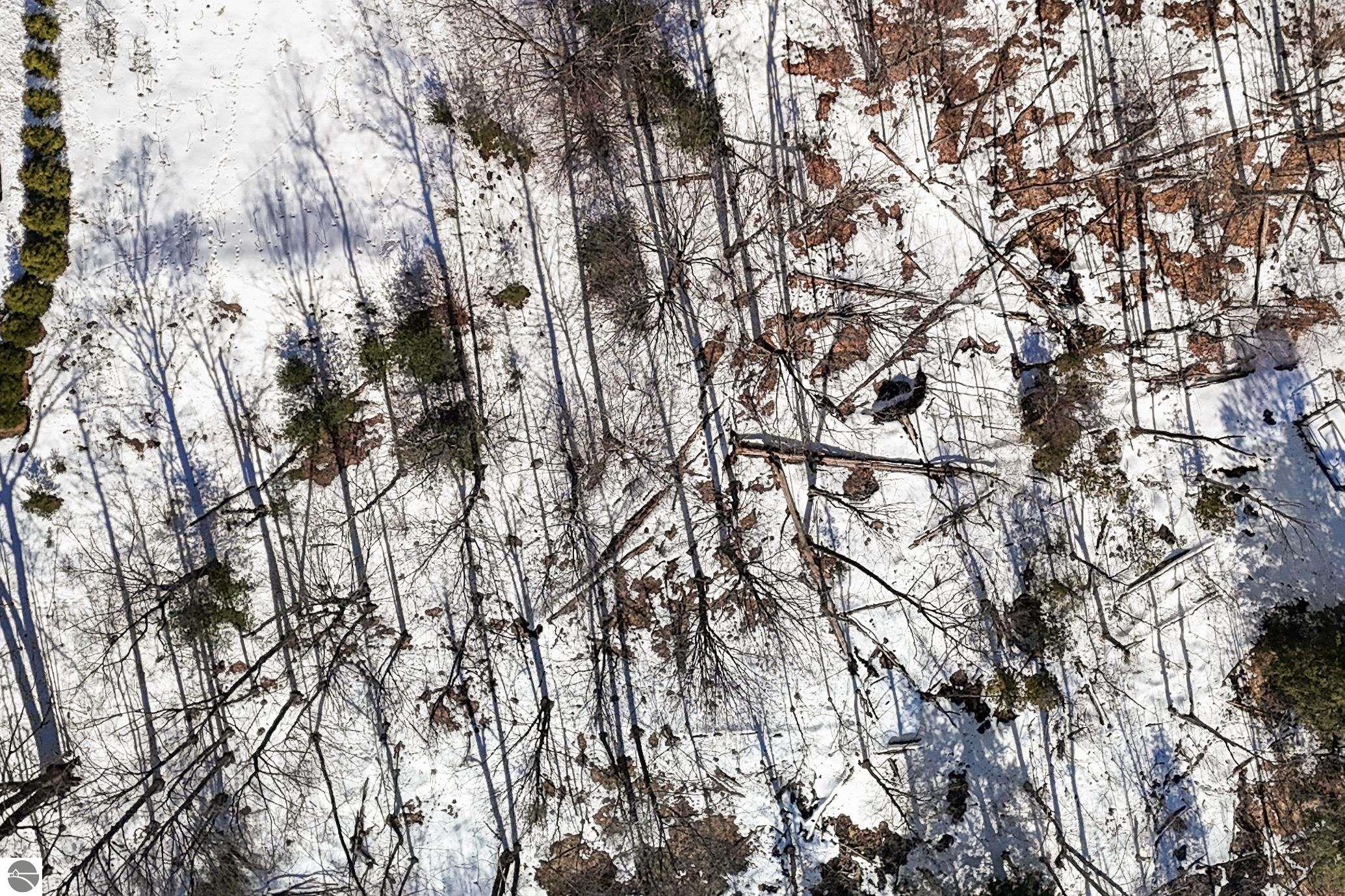 9481 E Walkabout Lane