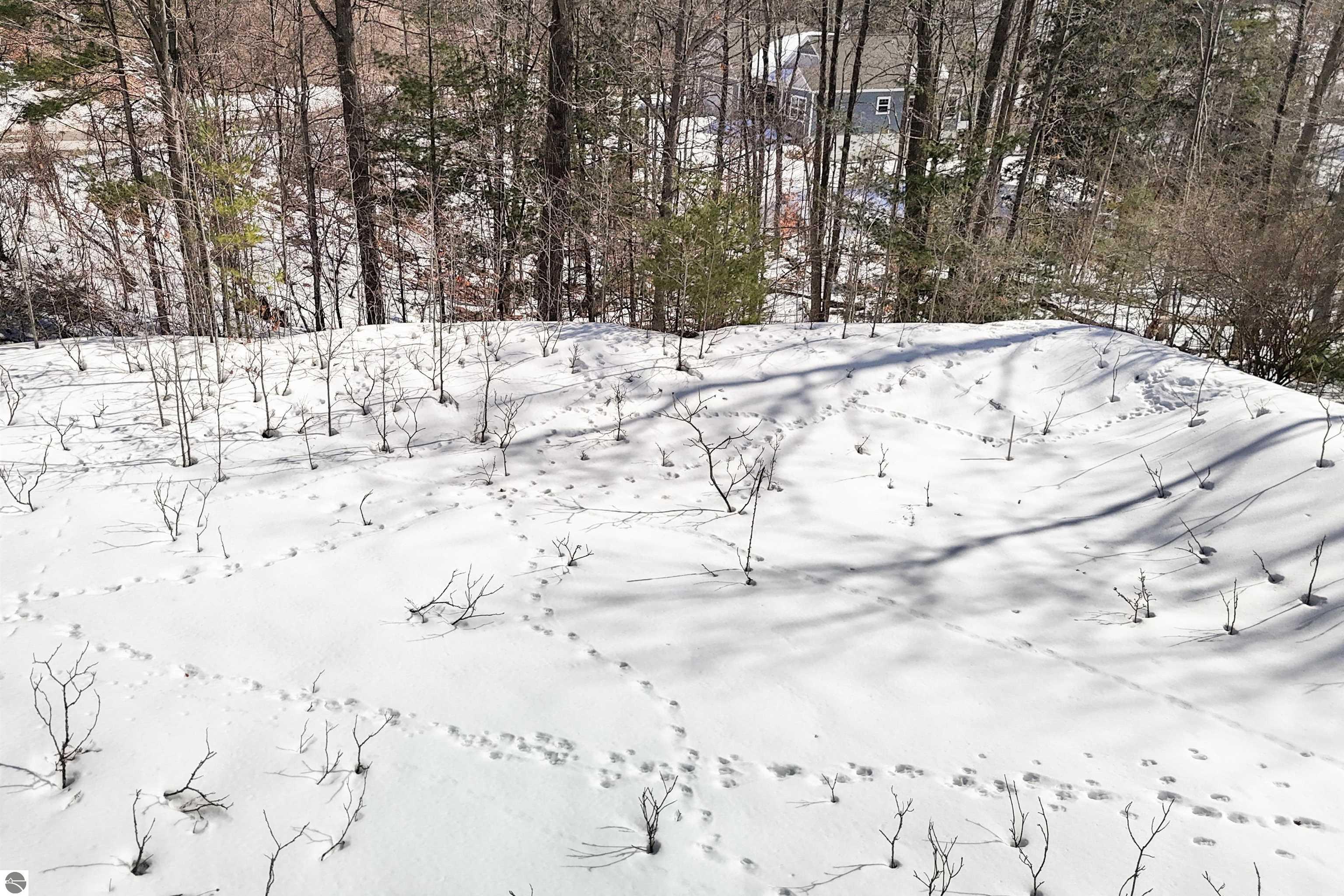 9481 E Walkabout Lane