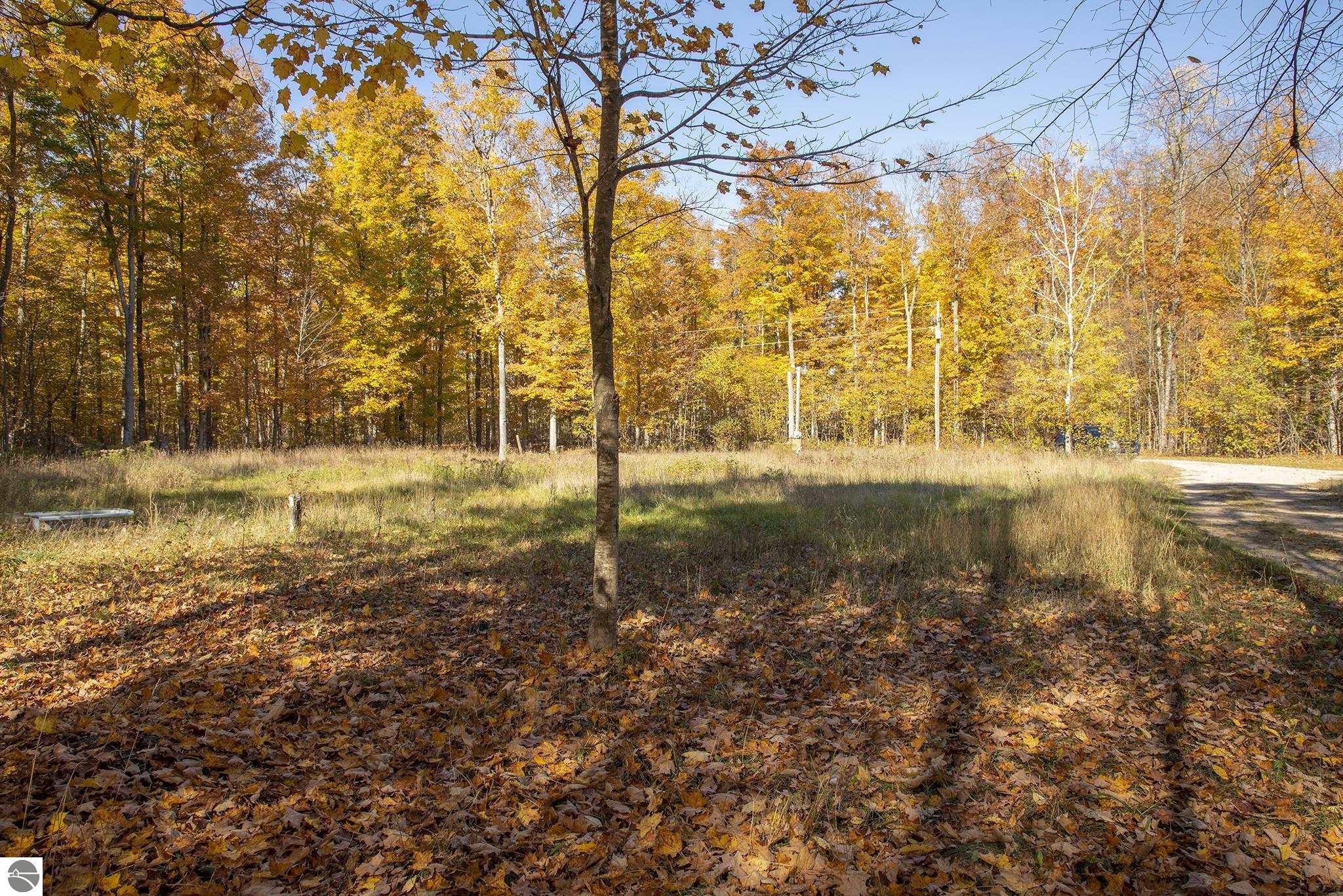 5699 Greenleaf Lane