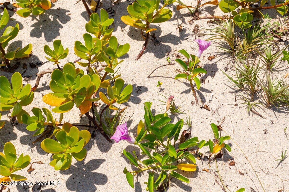 6309 Highway A1a S, 361