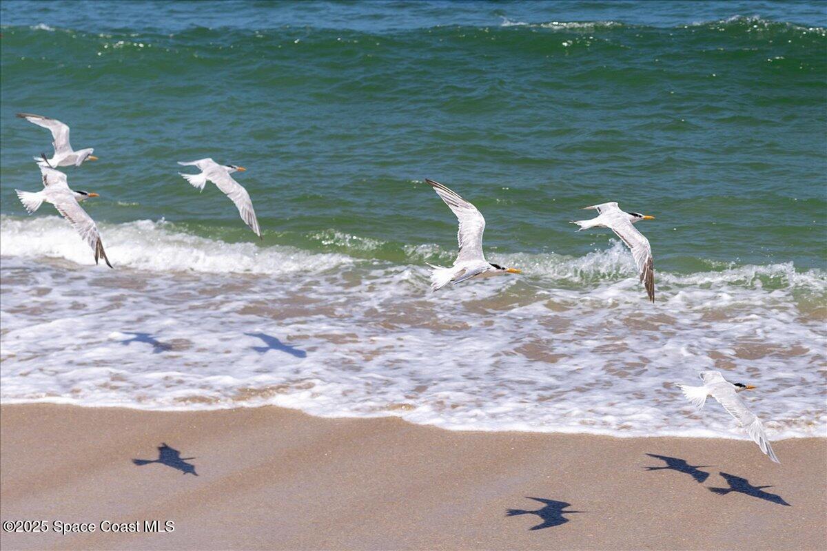 6309 Highway A1a S, 361