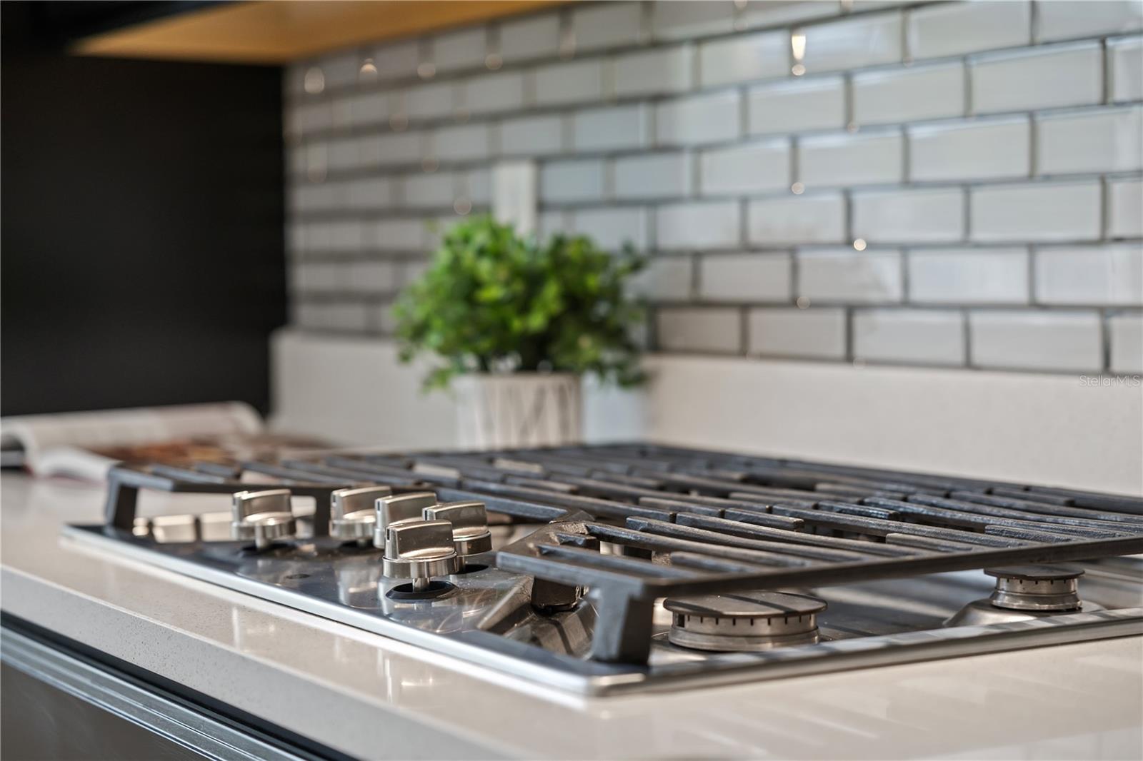 10748 CITRON OAKS DR