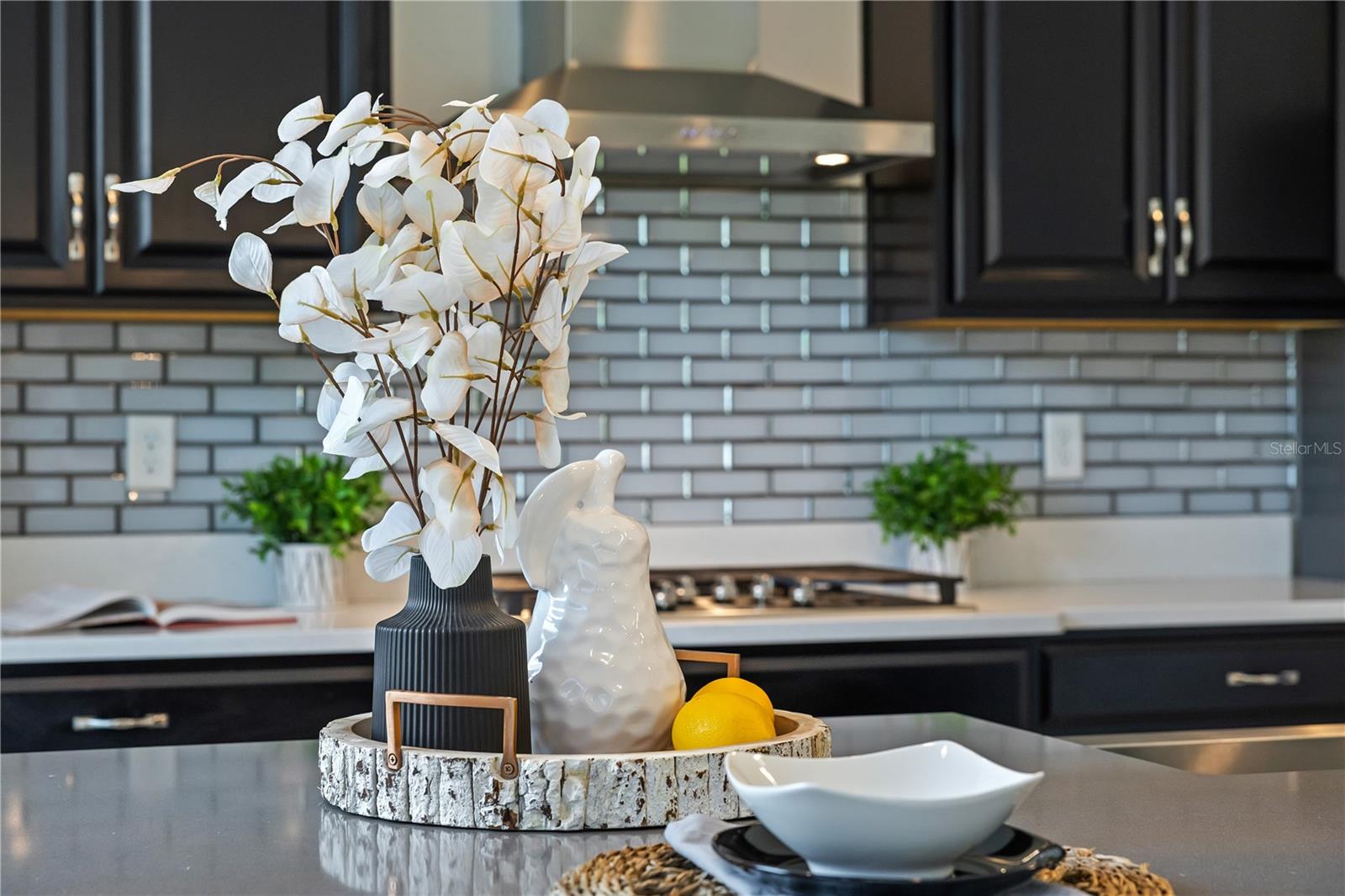 10748 CITRON OAKS DR