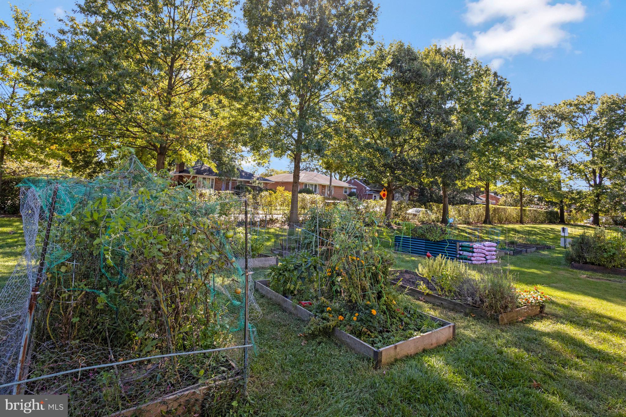 107 N GEORGE MASON DRIVE N 4