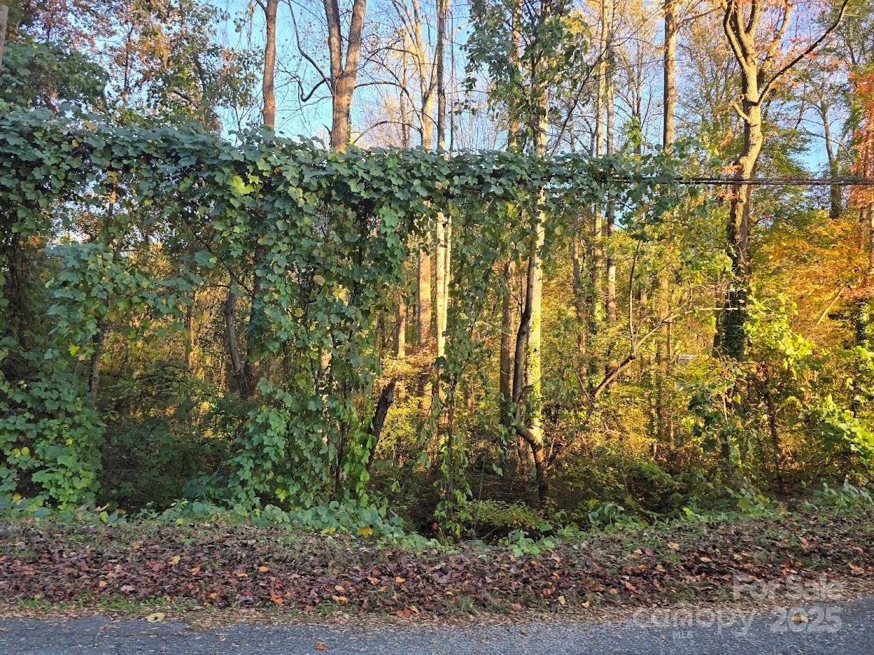 0 Winona Avenue