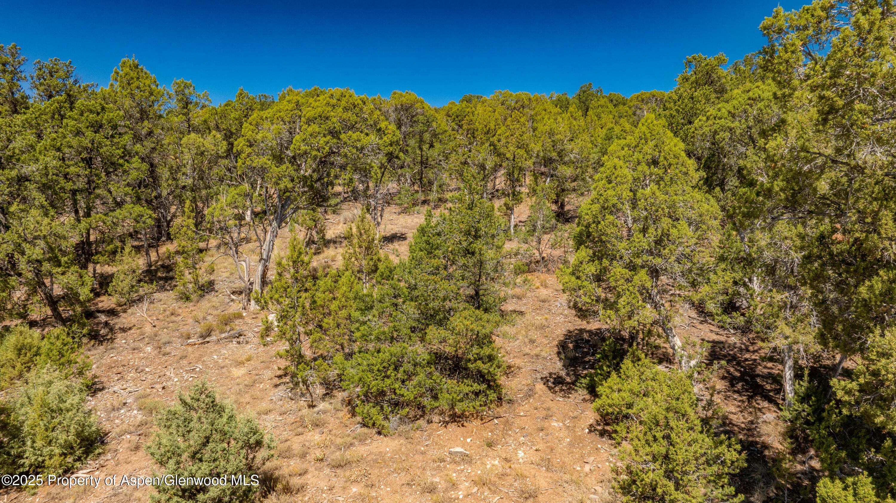 3292 Elk Springs Drive