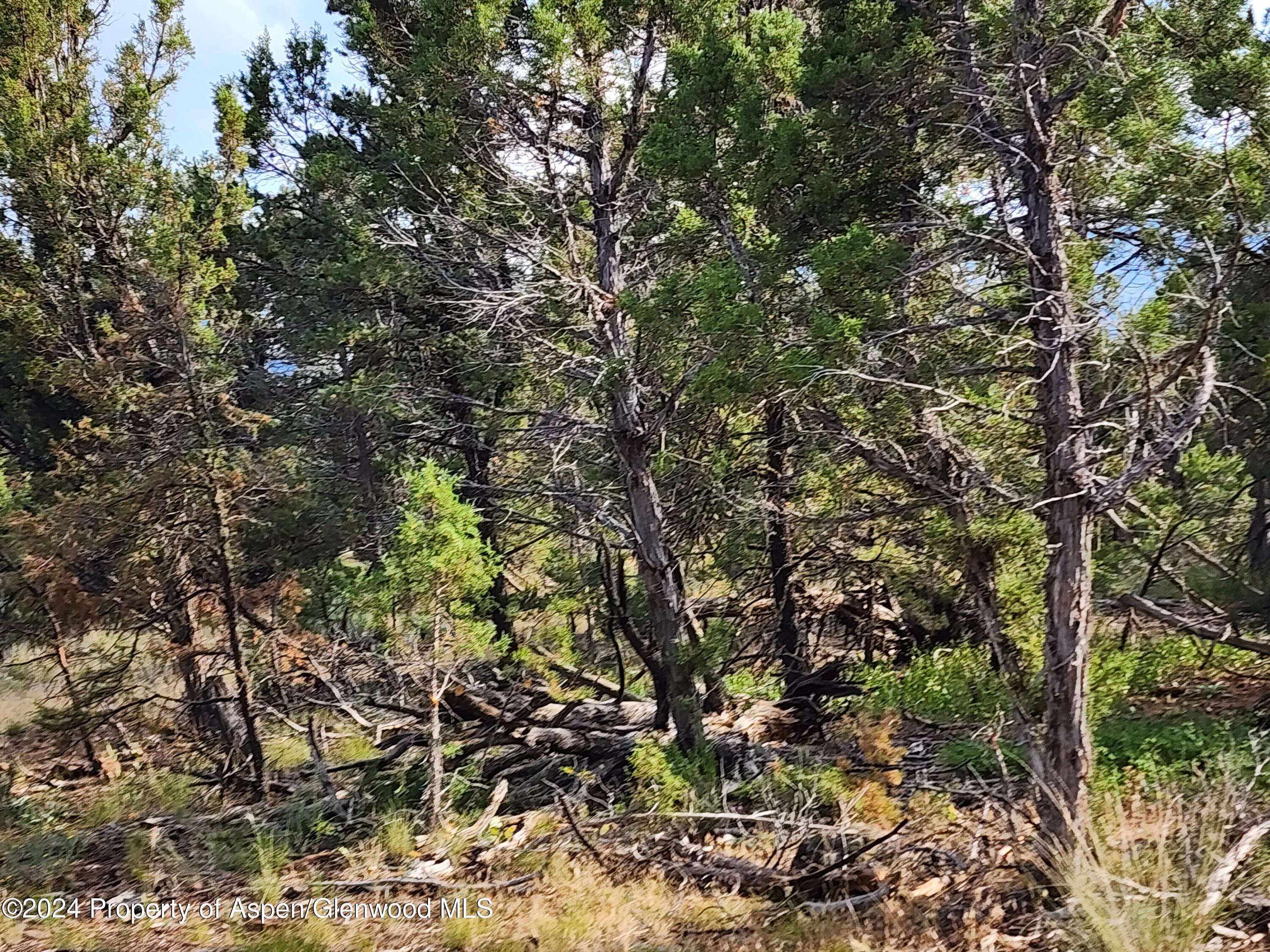 3292 Elk Springs Drive