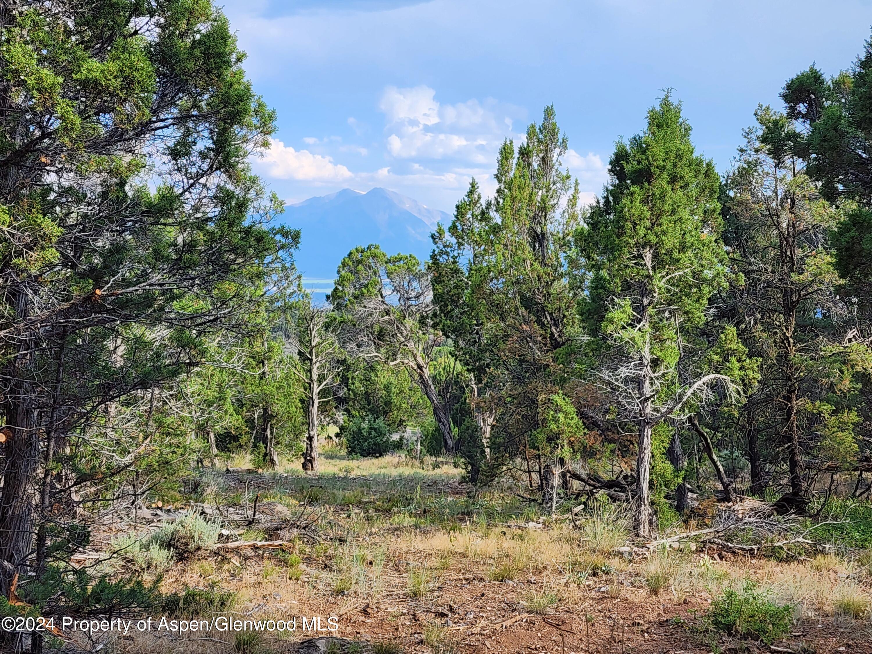 3292 Elk Springs Drive