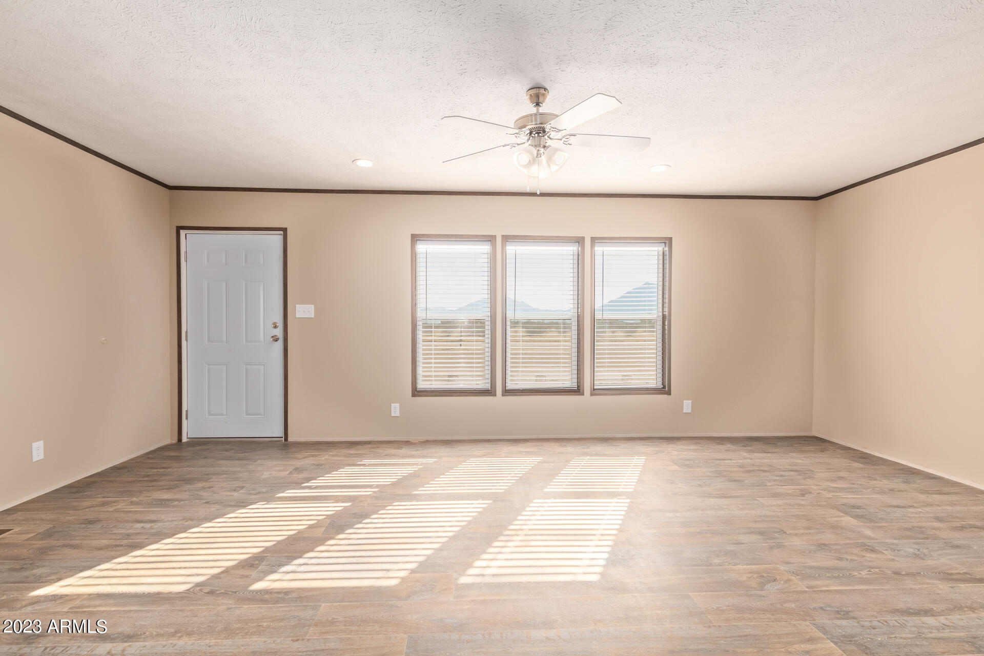 56228 W Brittlebrush Lane