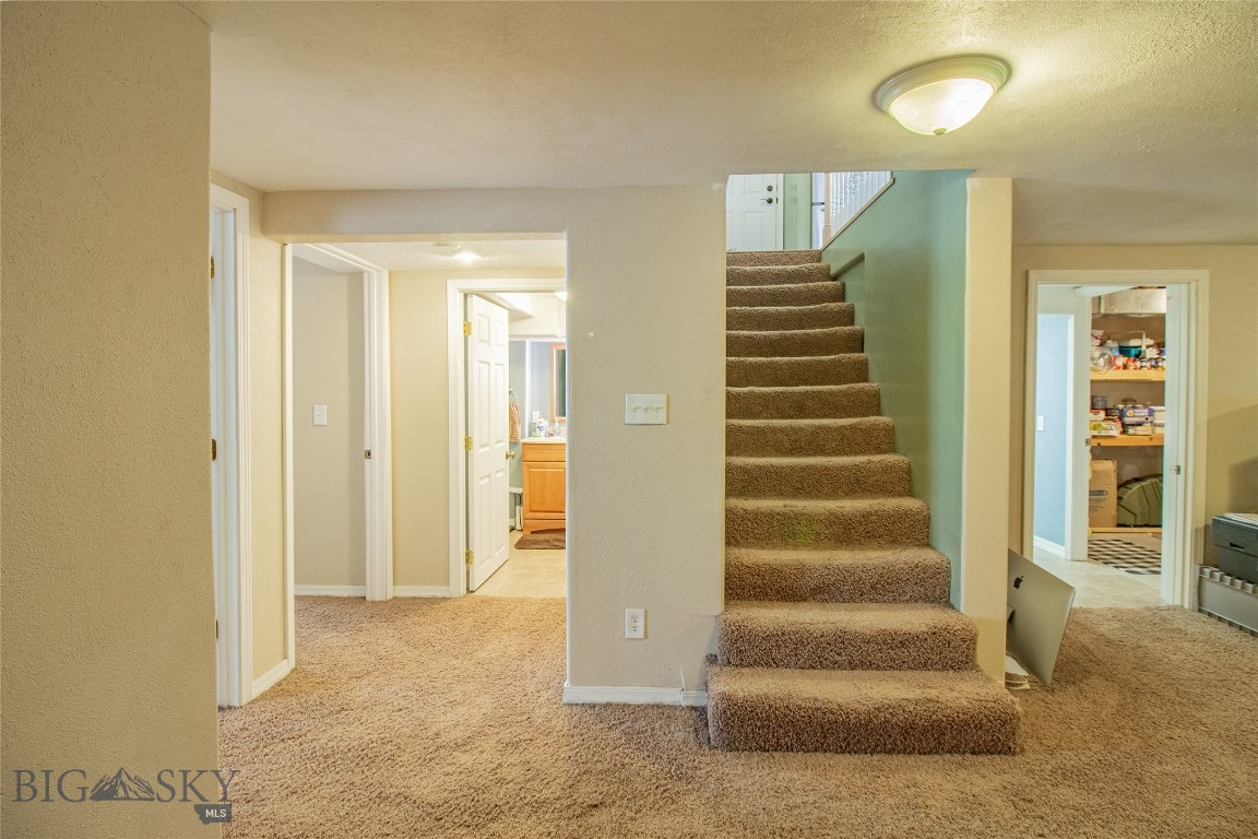 3541 Willoughby Avenue