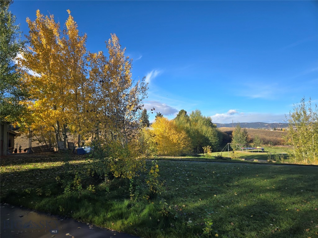 125 Mountain View