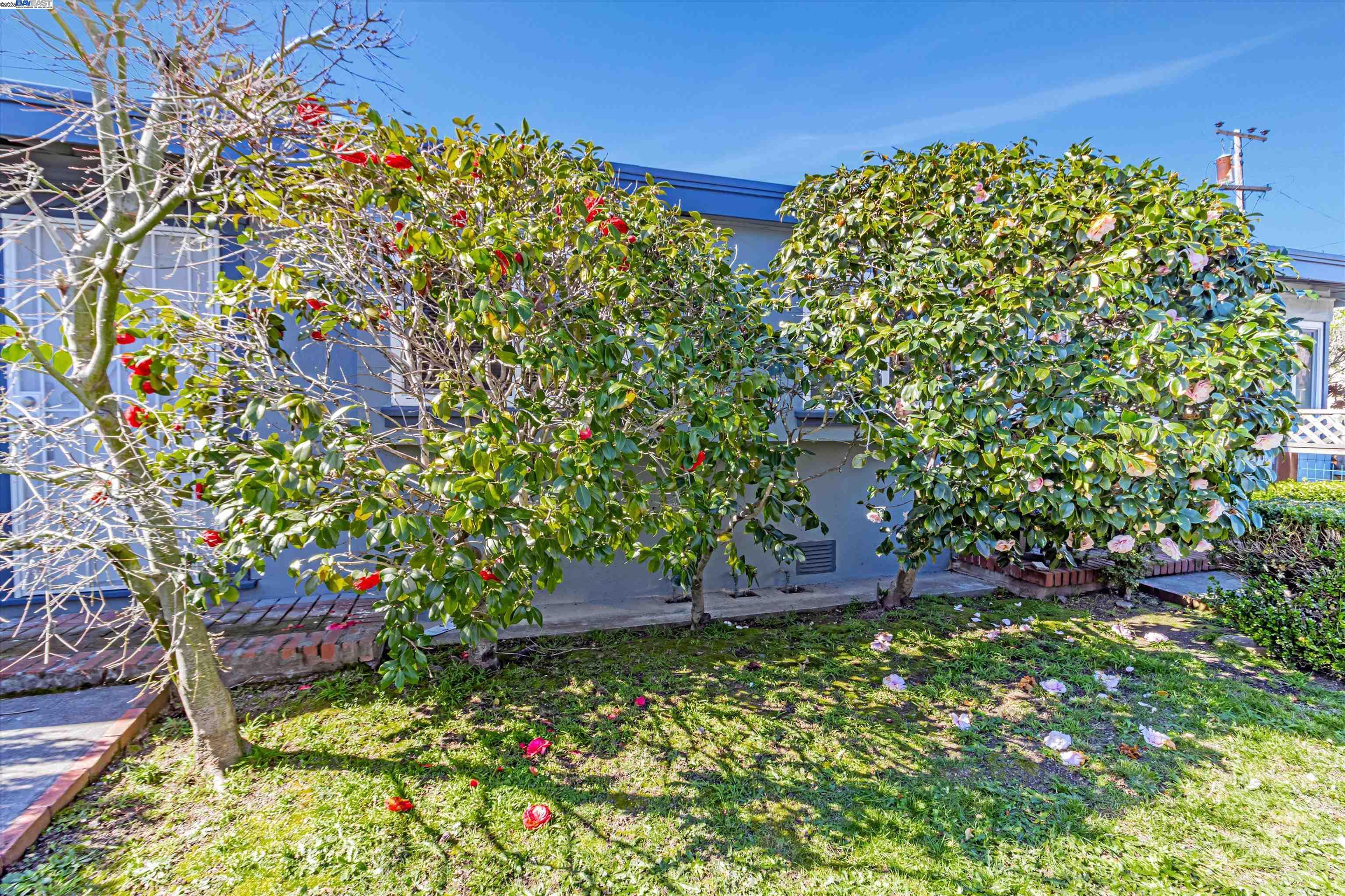 3482 Loma Vista Ave