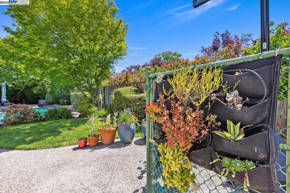 6317 Corte Esperanza