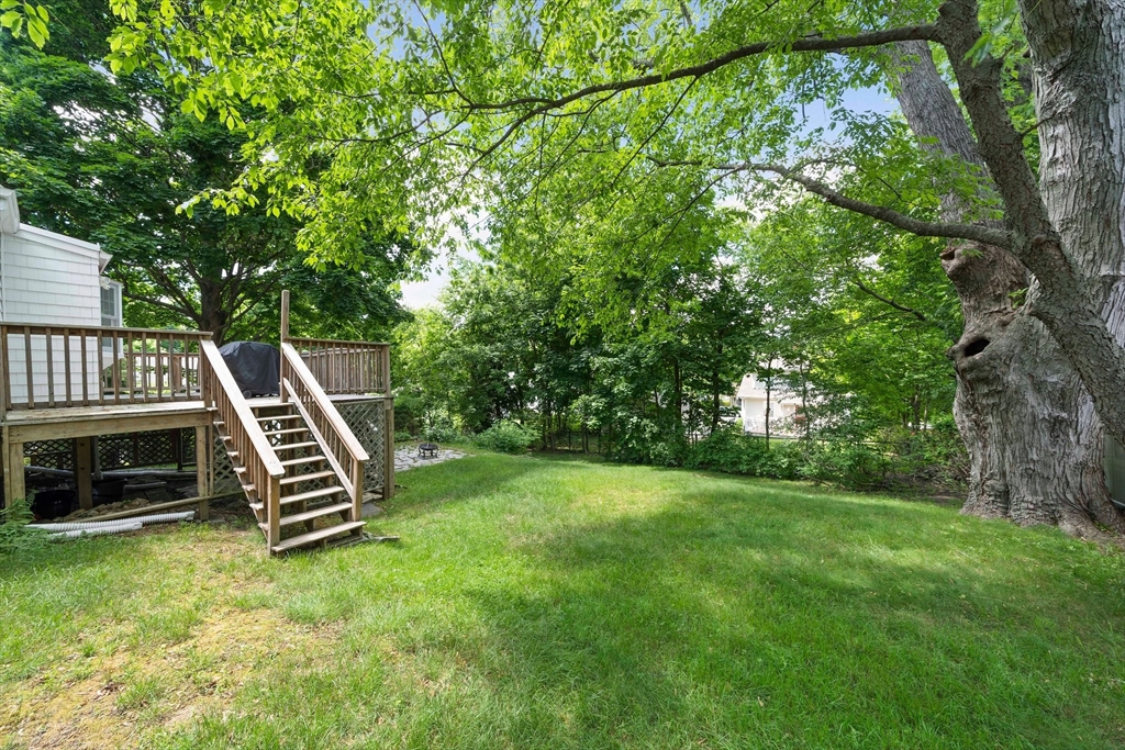 12 Arcadia Rd