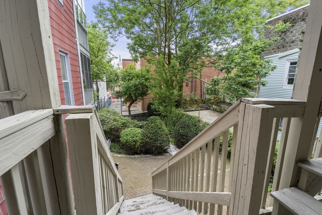 29 Princeton # 1