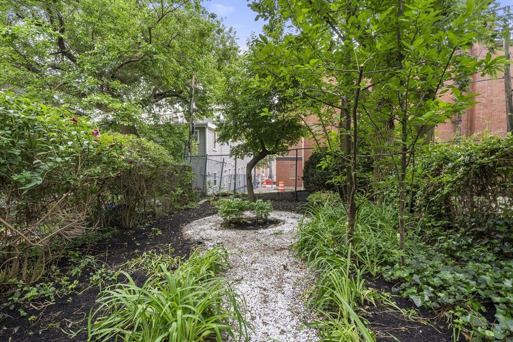 29 Princeton # 1