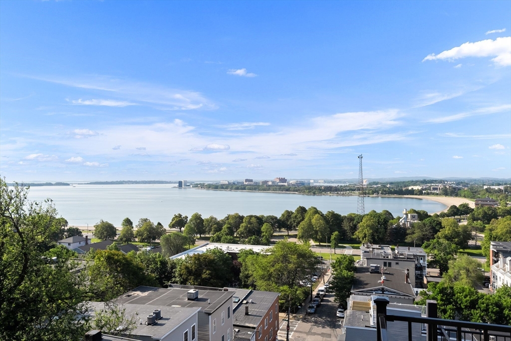 53 Thomas Park # B