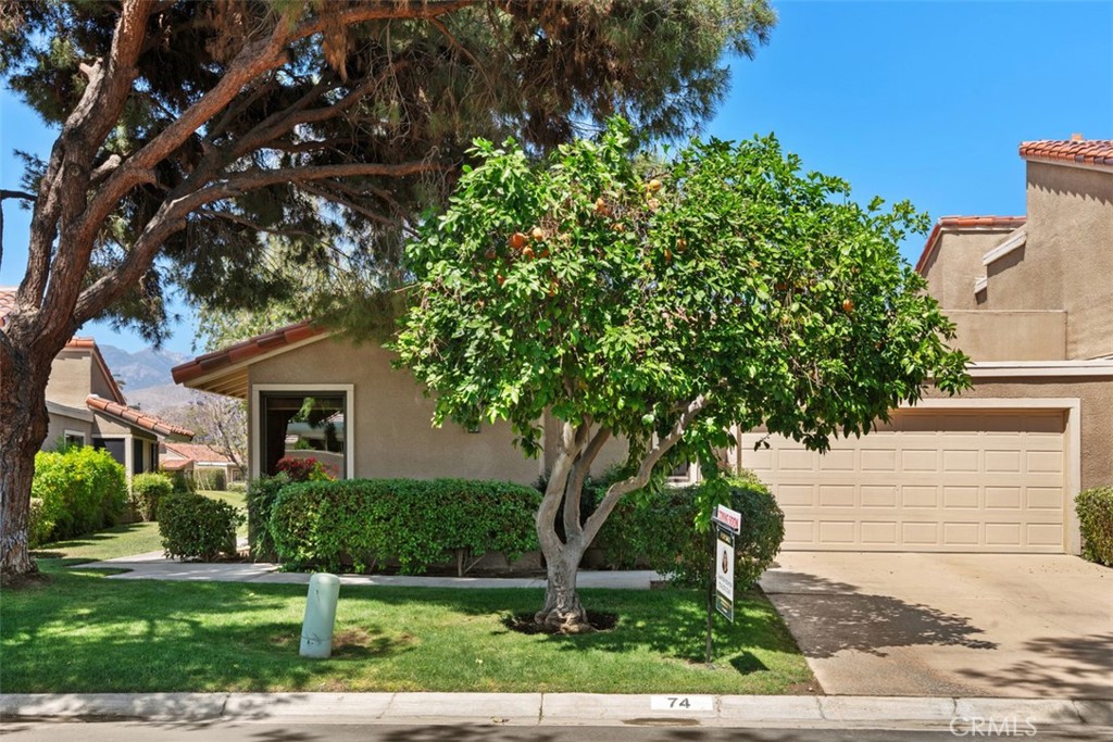 74 Tennis Club Drive