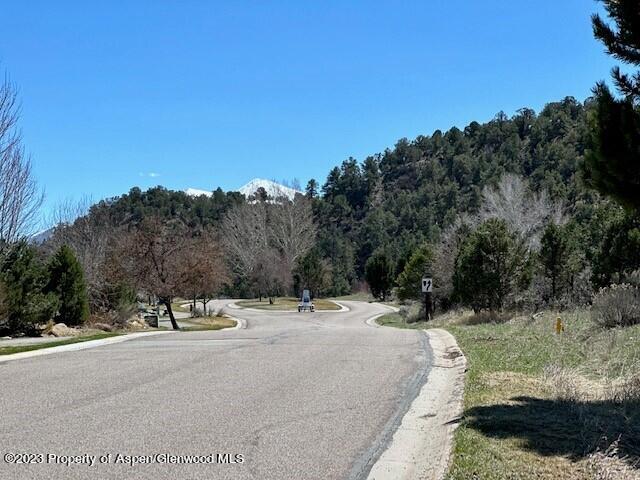 3901 Crystal Bridge Drive