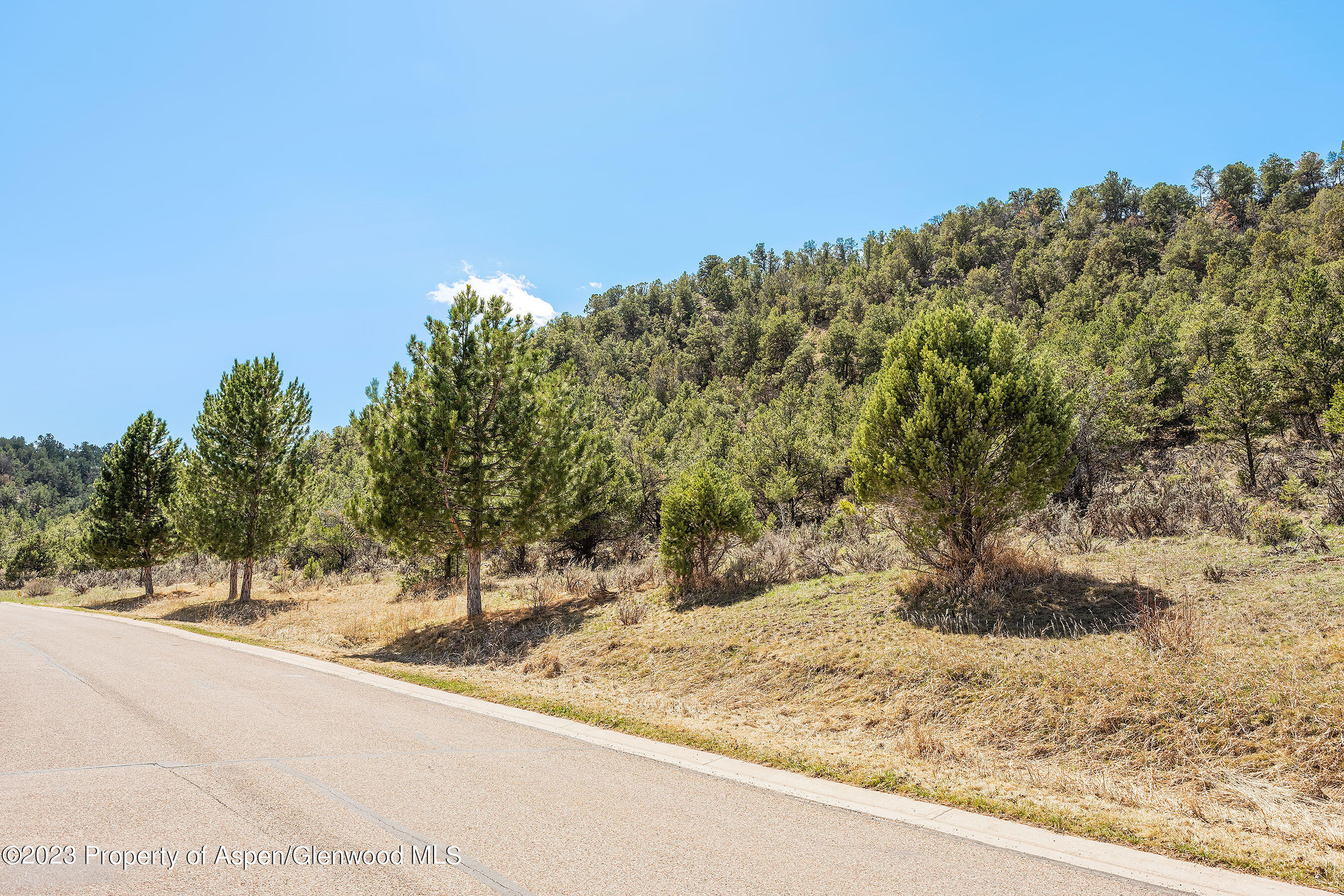 3901 Crystal Bridge Drive