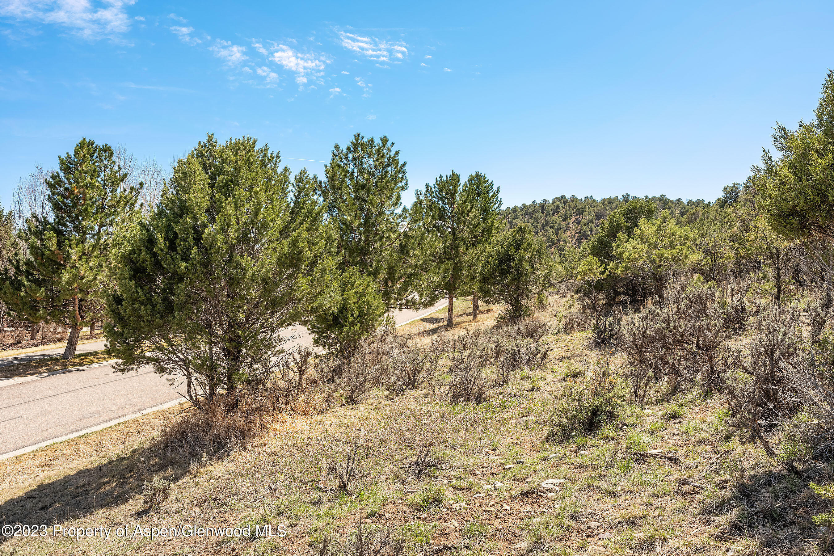 3901 Crystal Bridge Drive