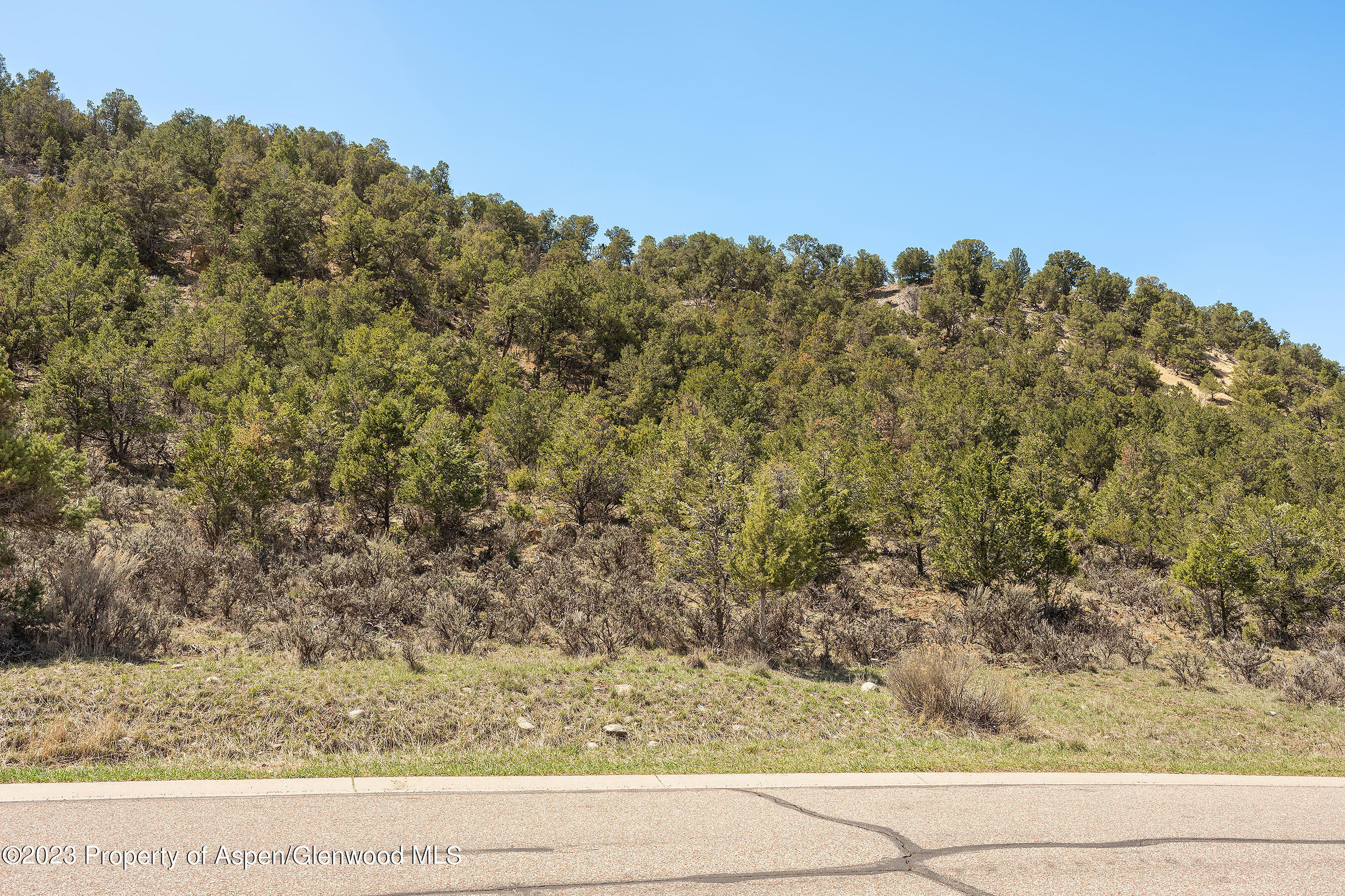 3901 Crystal Bridge Drive