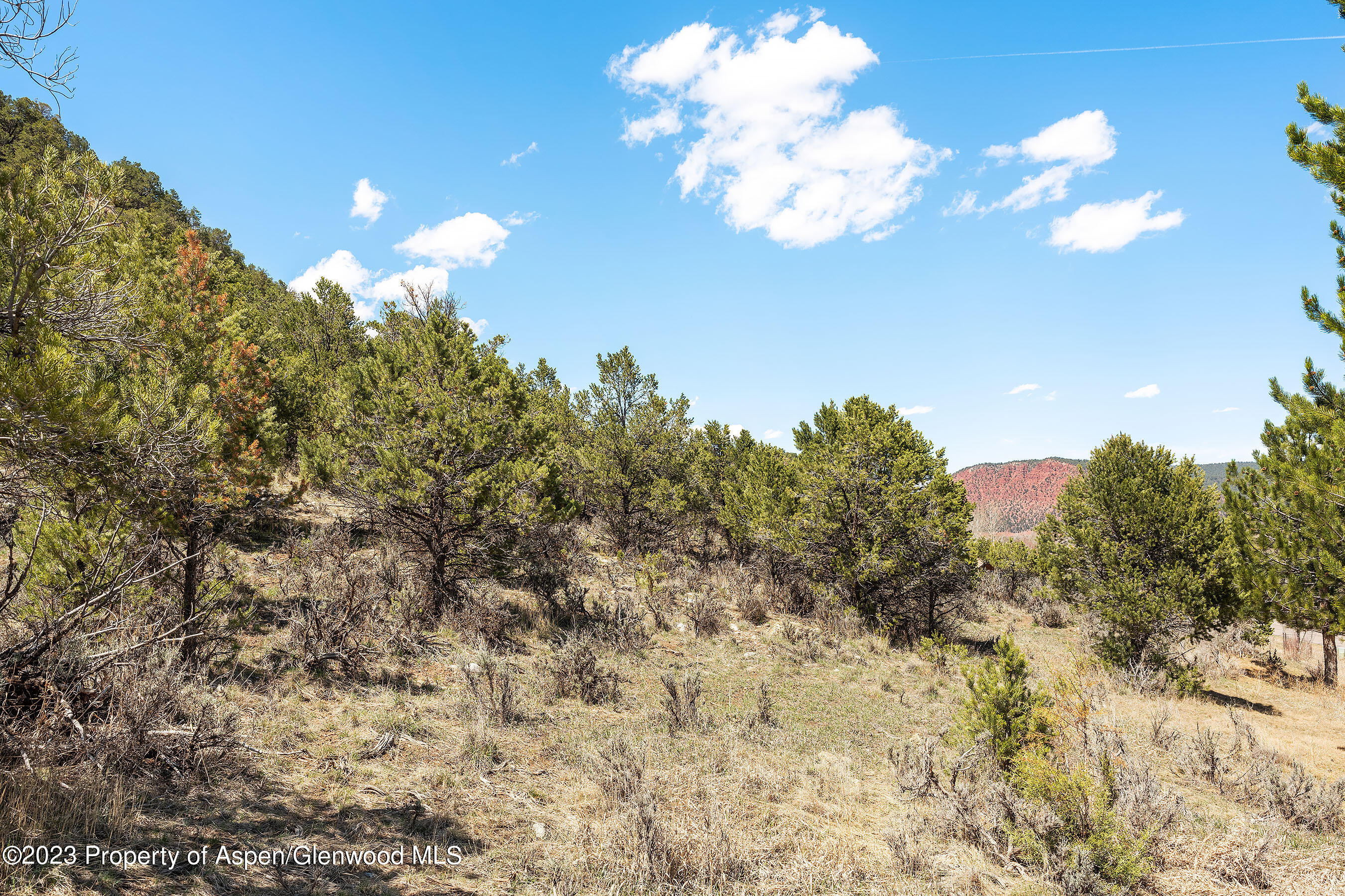 3901 Crystal Bridge Drive