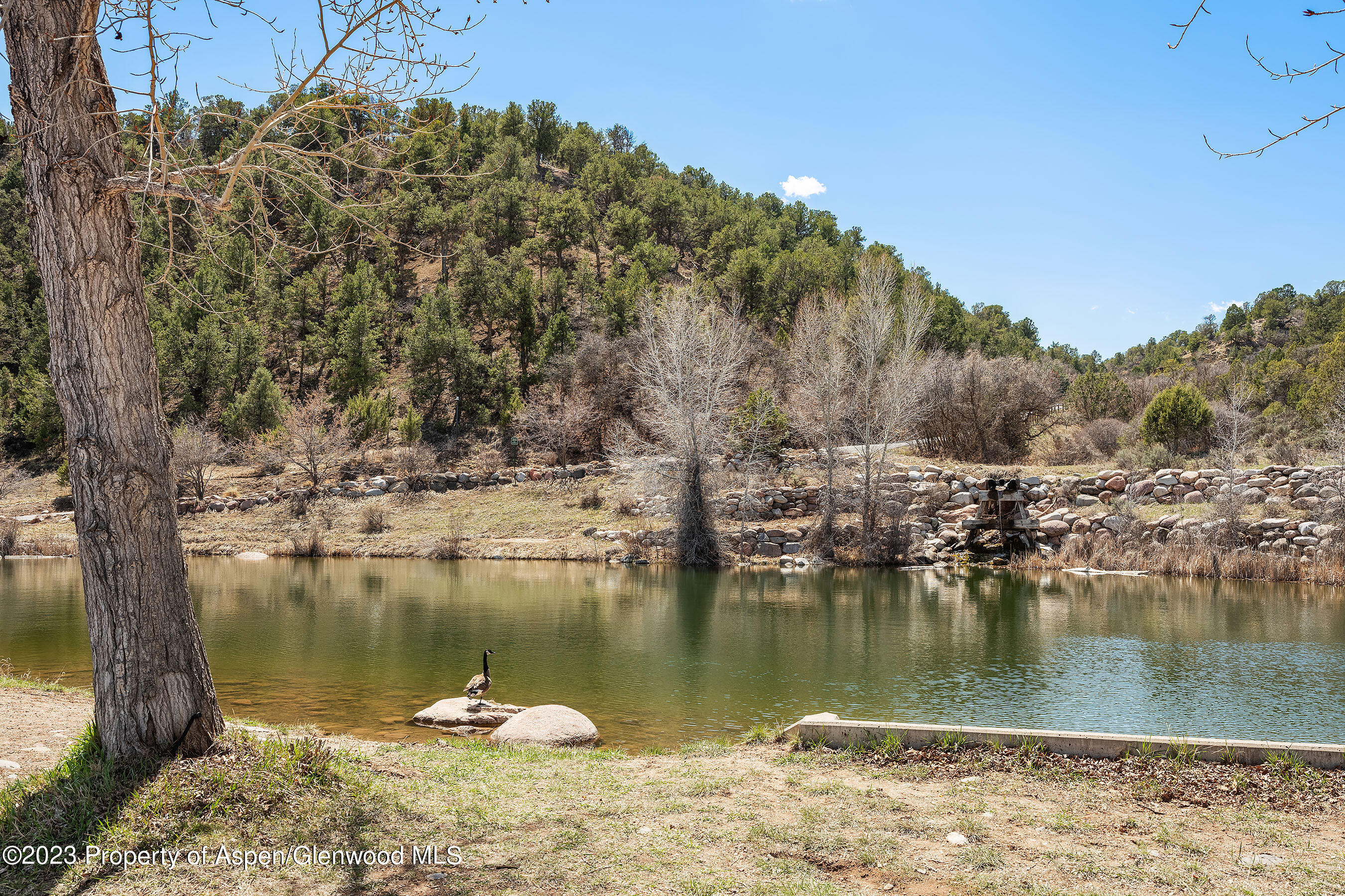 3901 Crystal Bridge Drive