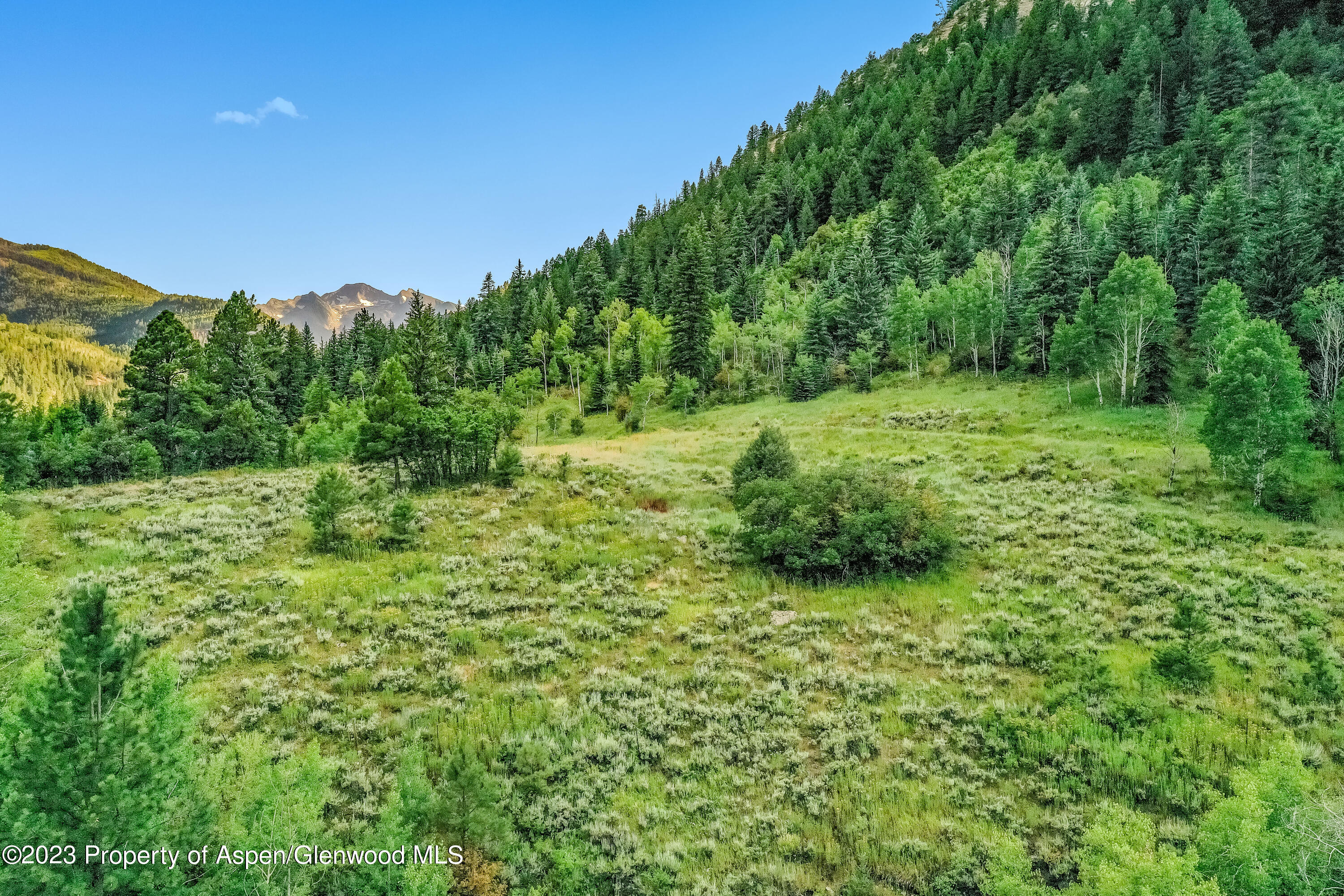 374 Elk Mountain Drive