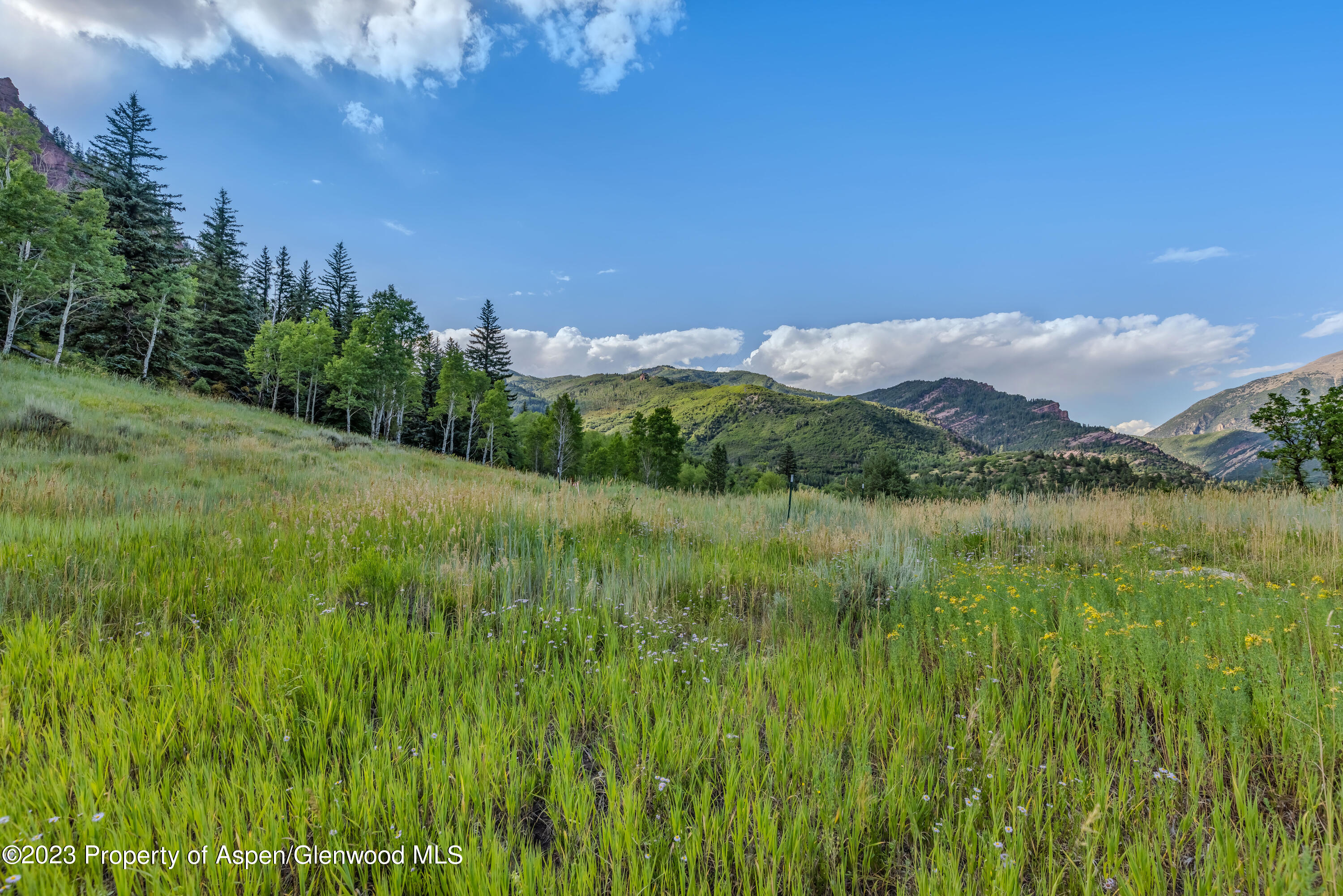 374 Elk Mountain Drive