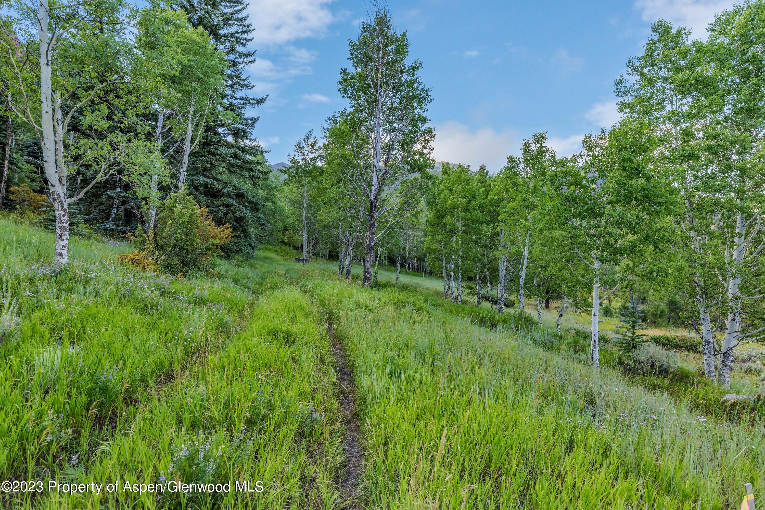 374 Elk Mountain Drive