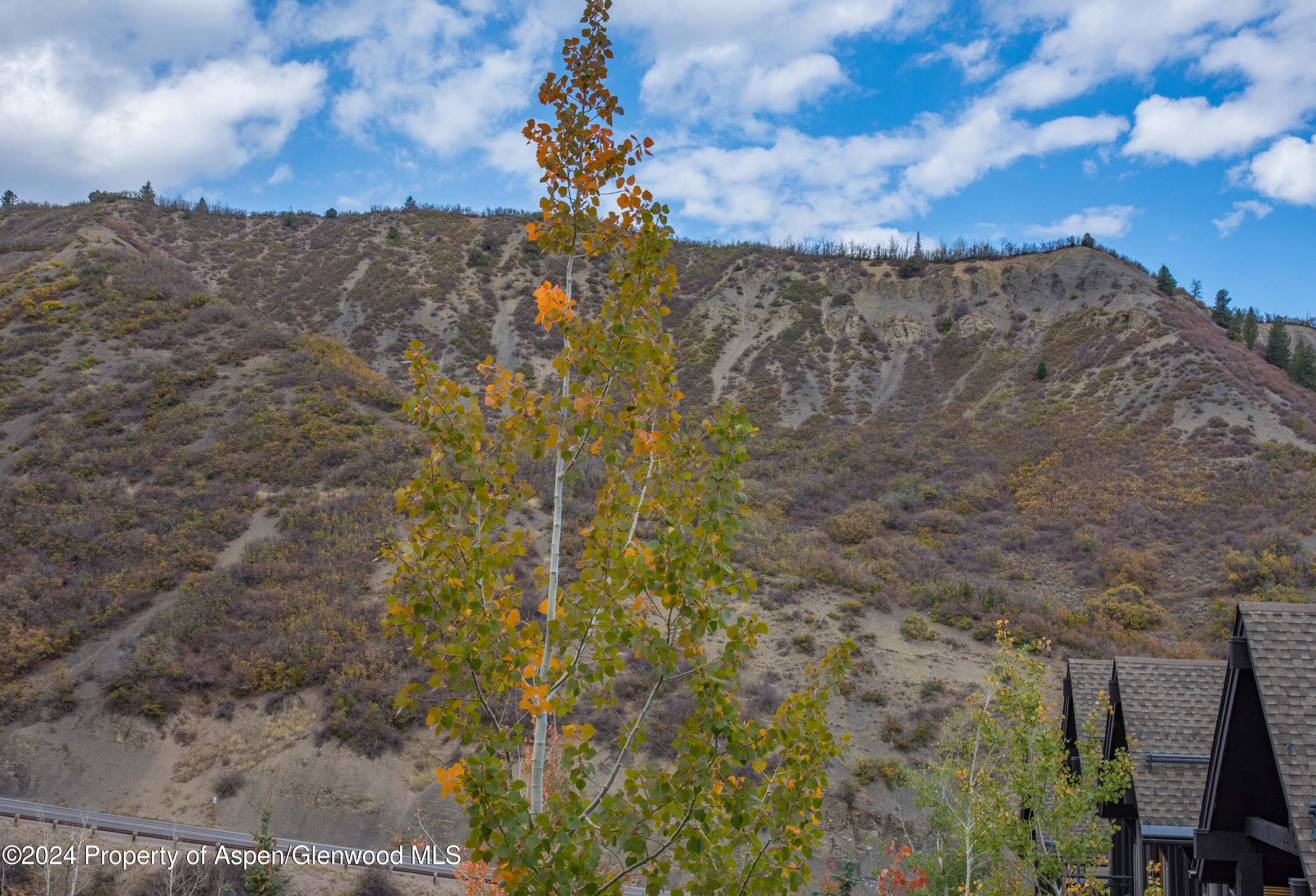 90 Carriage Way, #3417