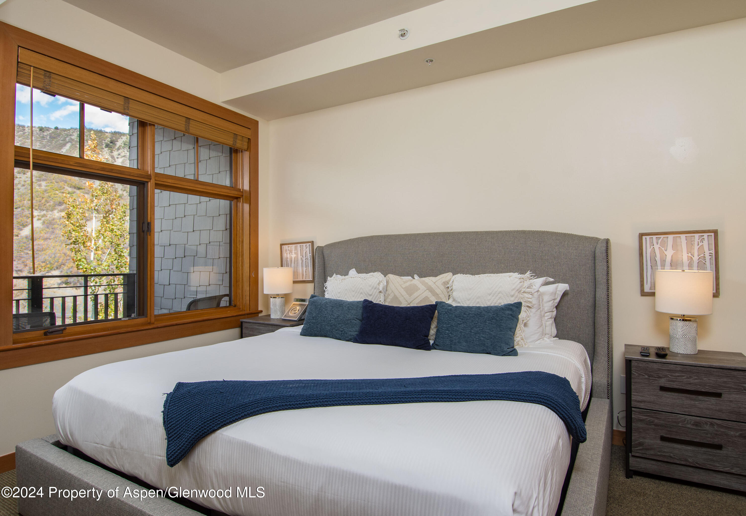 90 Carriage Way, #3417