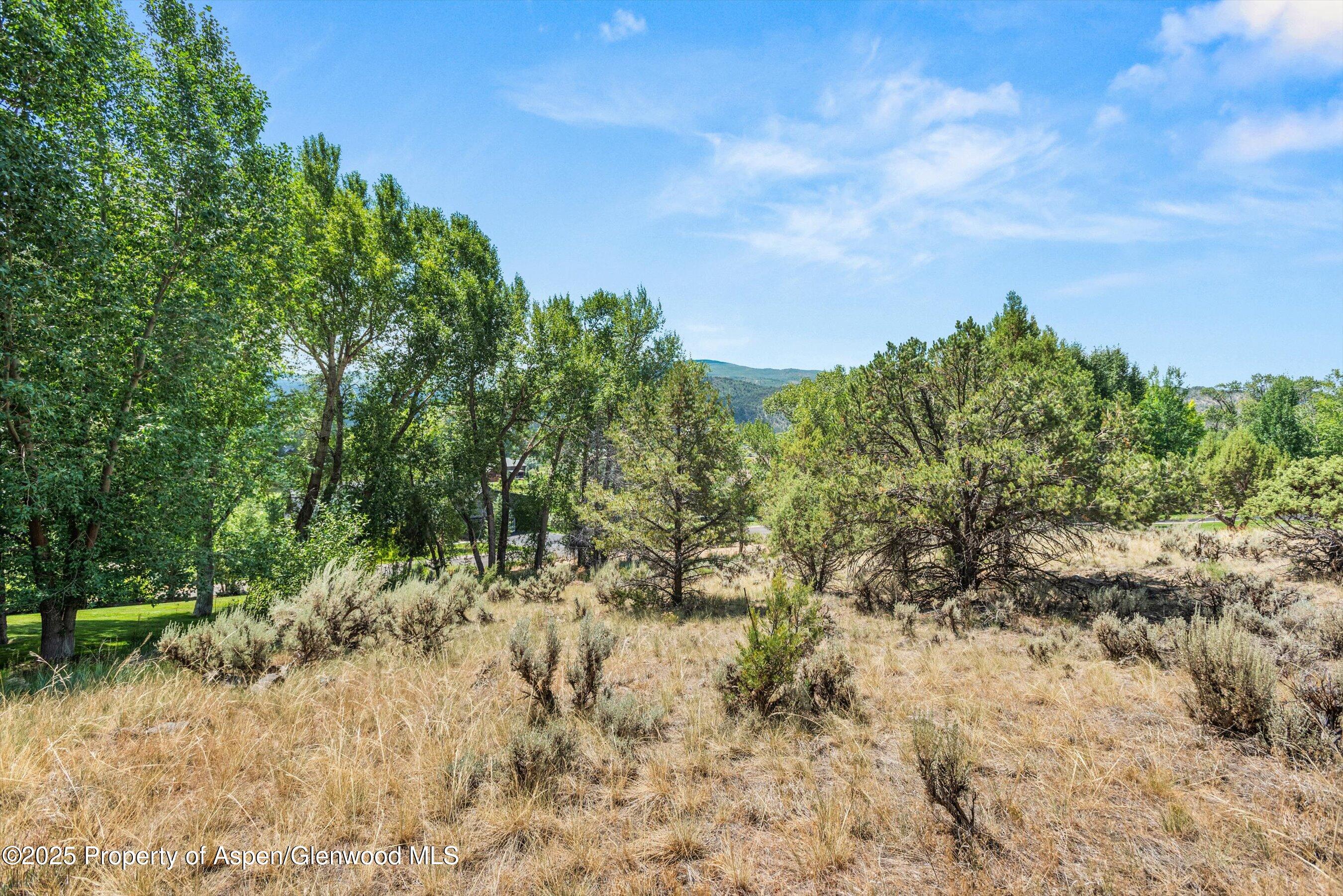 604 Larkspur Drive