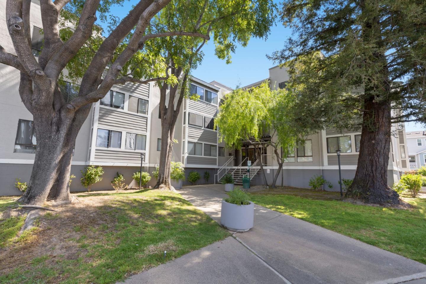 Condominium building entrance framed by mature trees, with a landscaped lawn and central stairway.