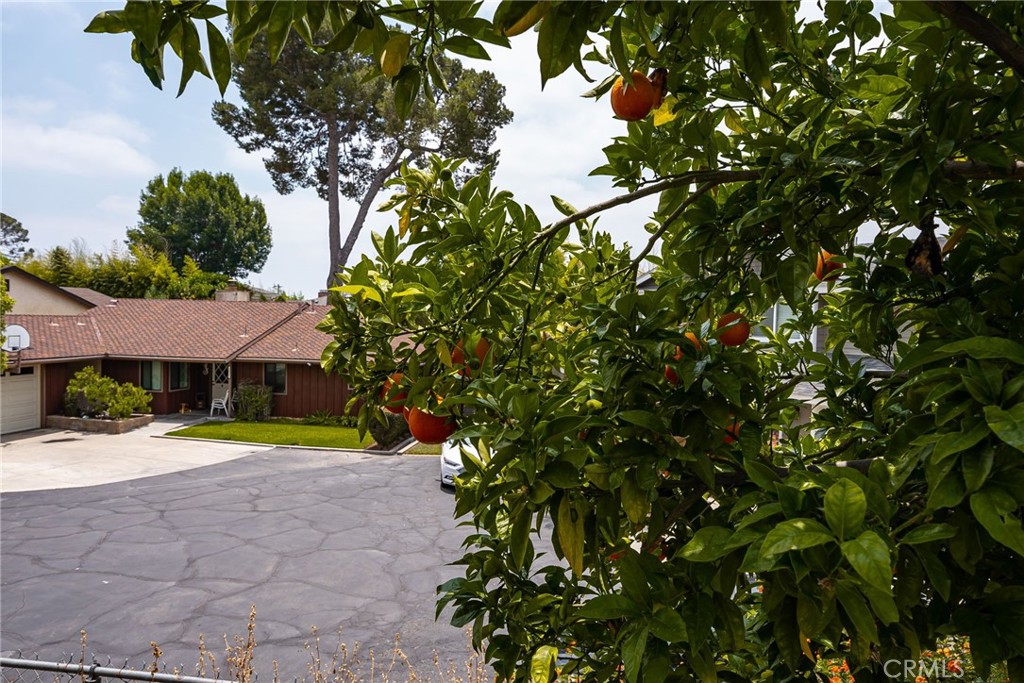 340 Capella Avenue