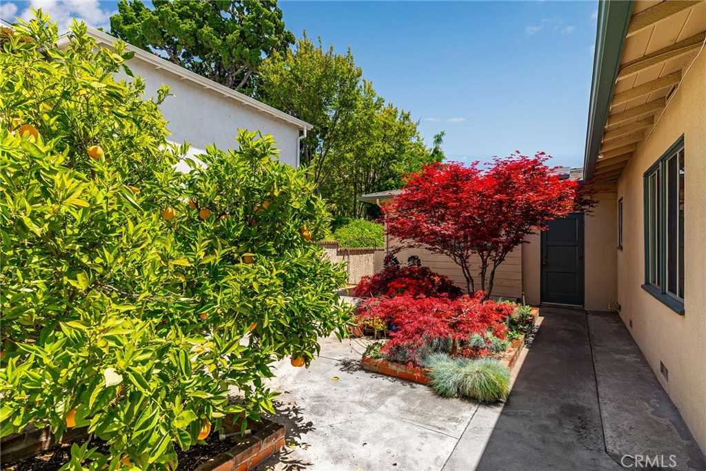 857 Ridgeside Drive