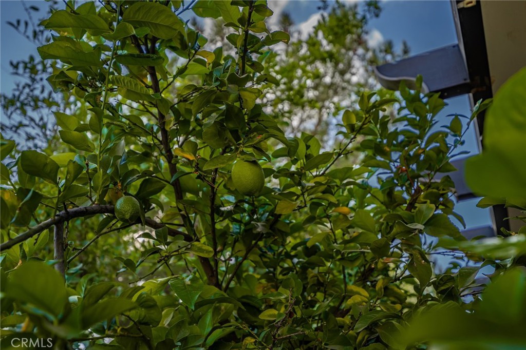 15613 Cole Point Lane